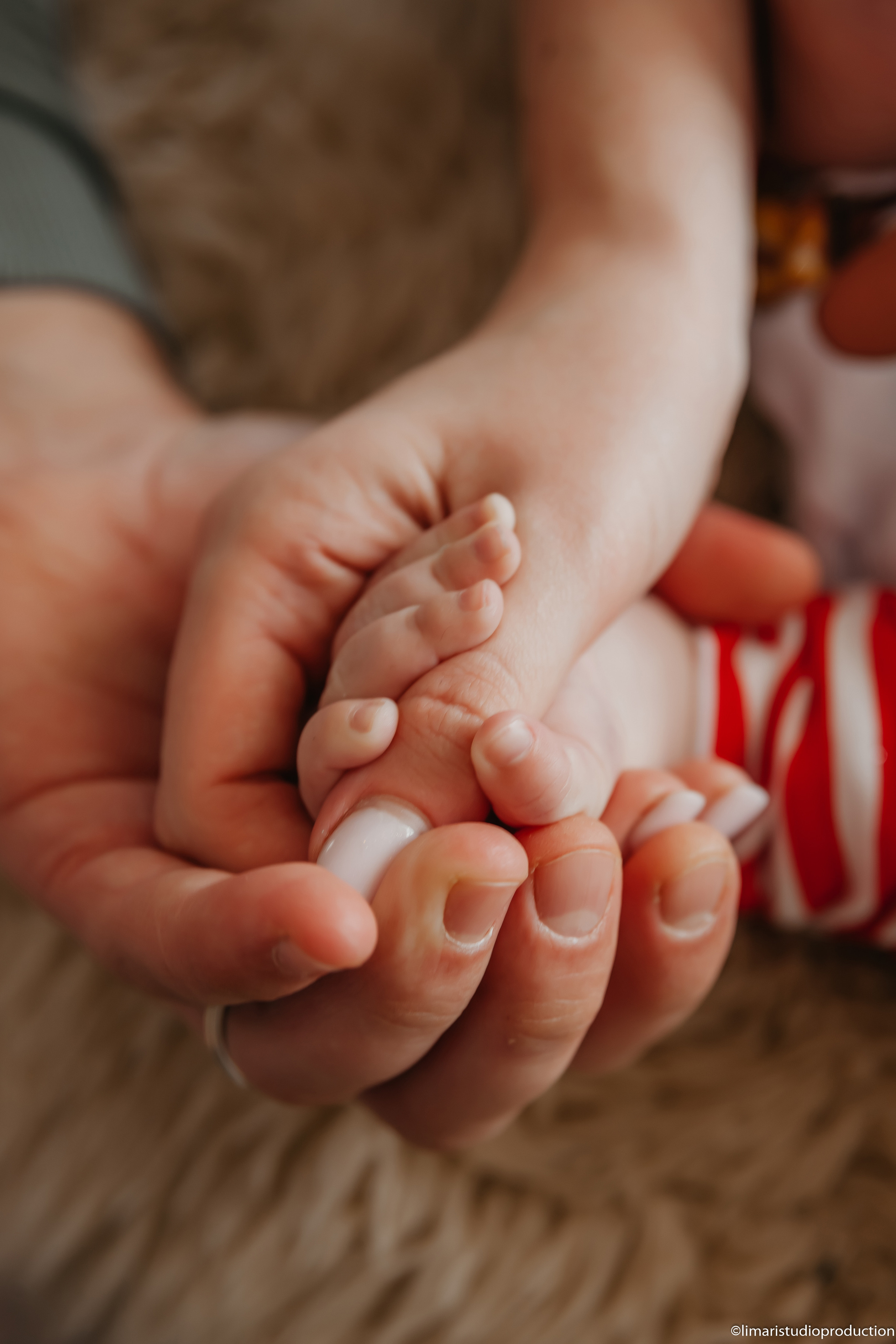 Little Angel. Фото видео в молдове