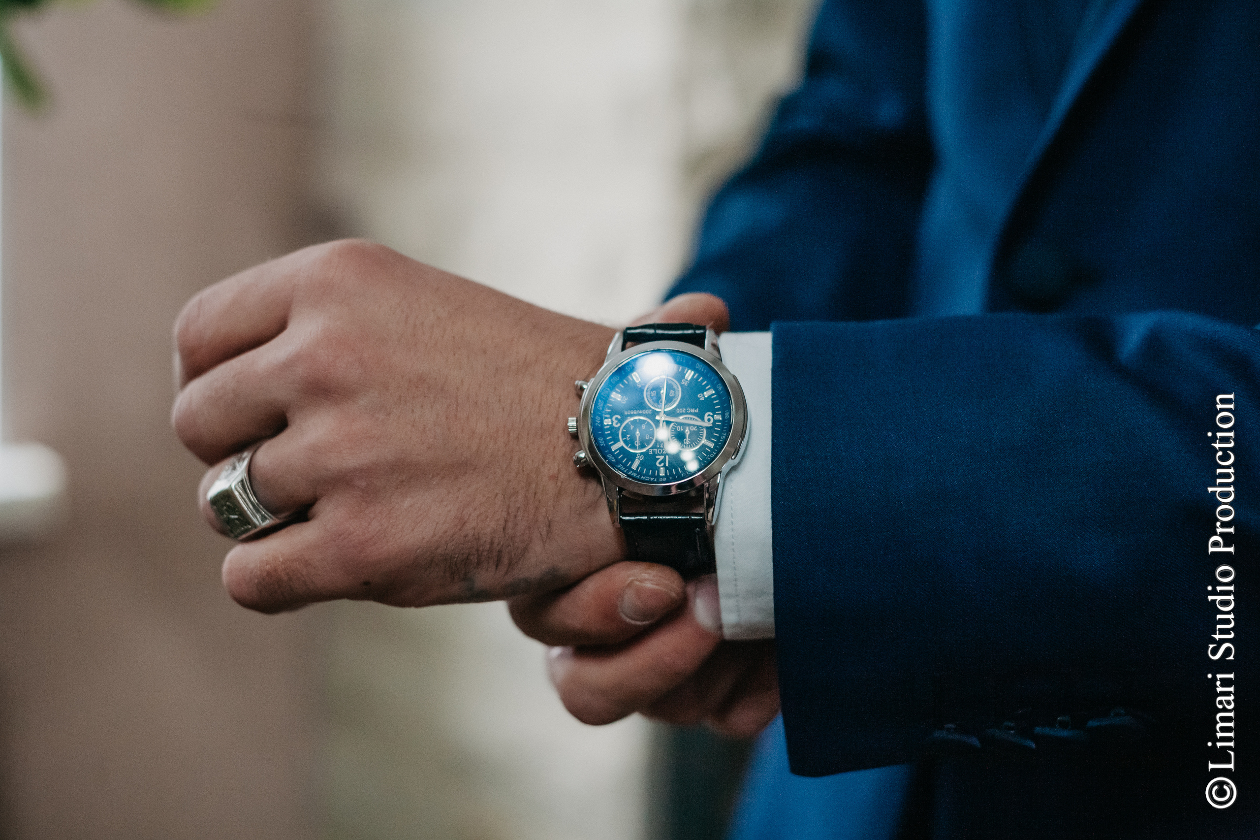 Elena & Leonid. Фото видео в молдове