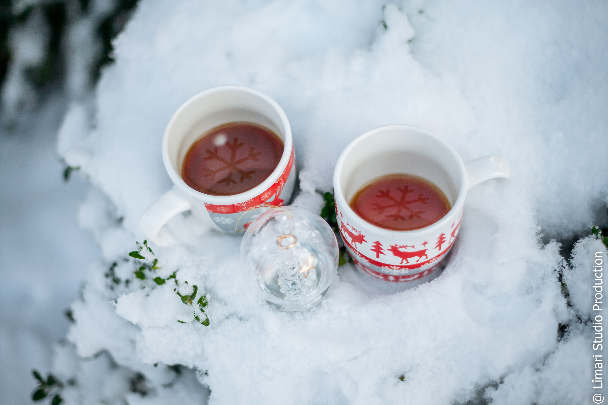 Фотограф молдова. Фото видео в молдове