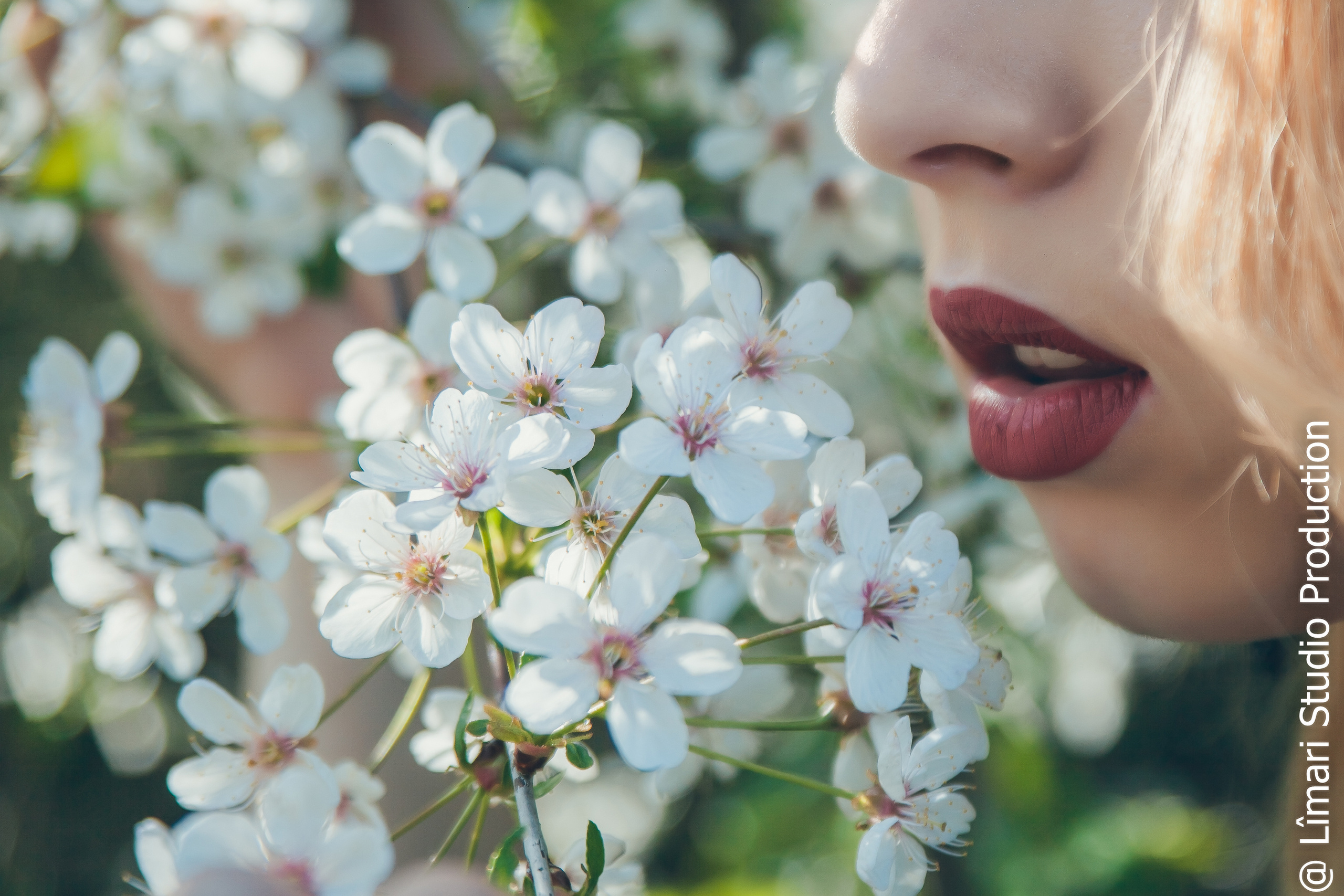 Фотограф молдова. Фото видео в молдове