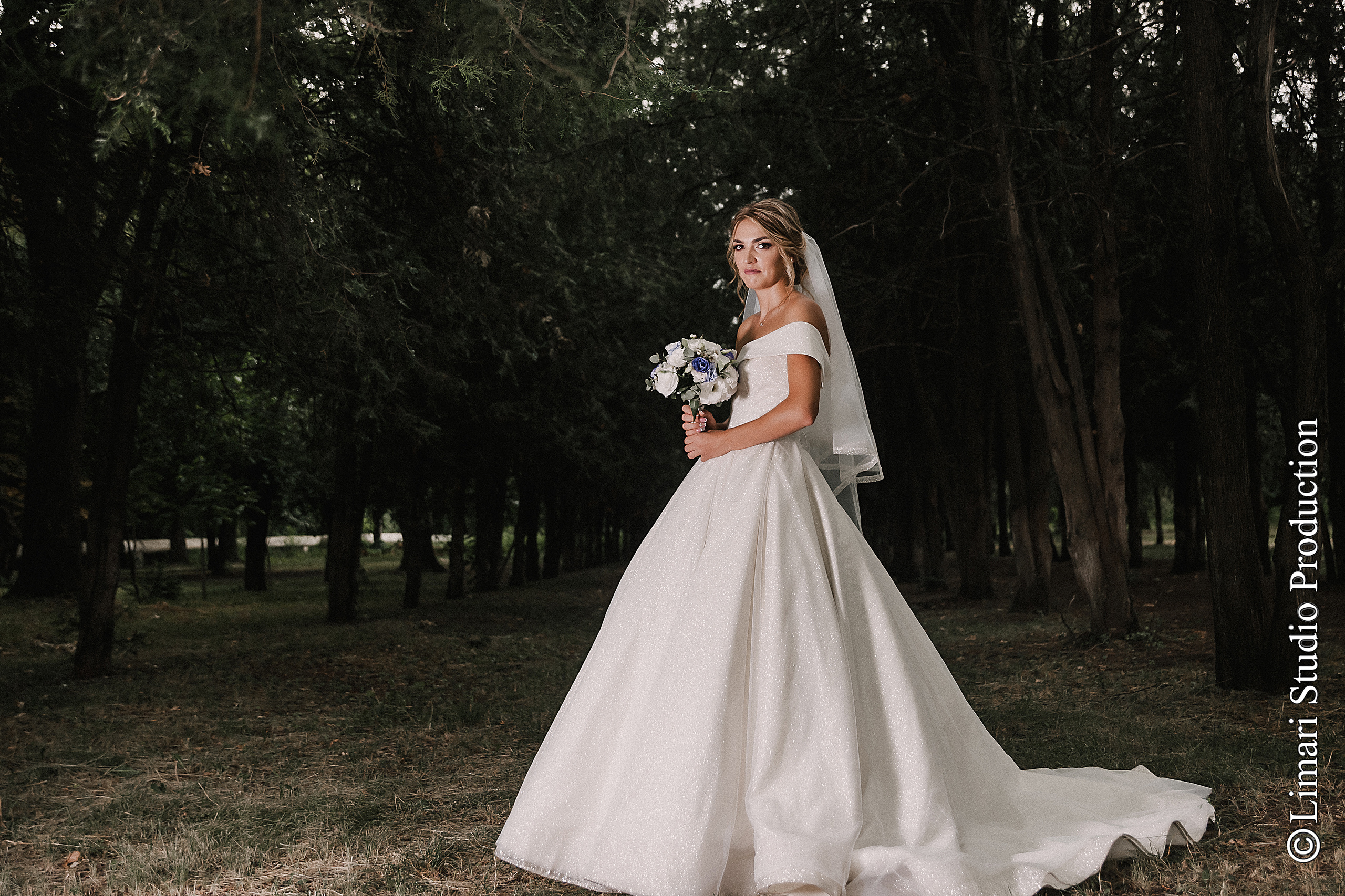 Diana & Vadim. Фото видео в молдове