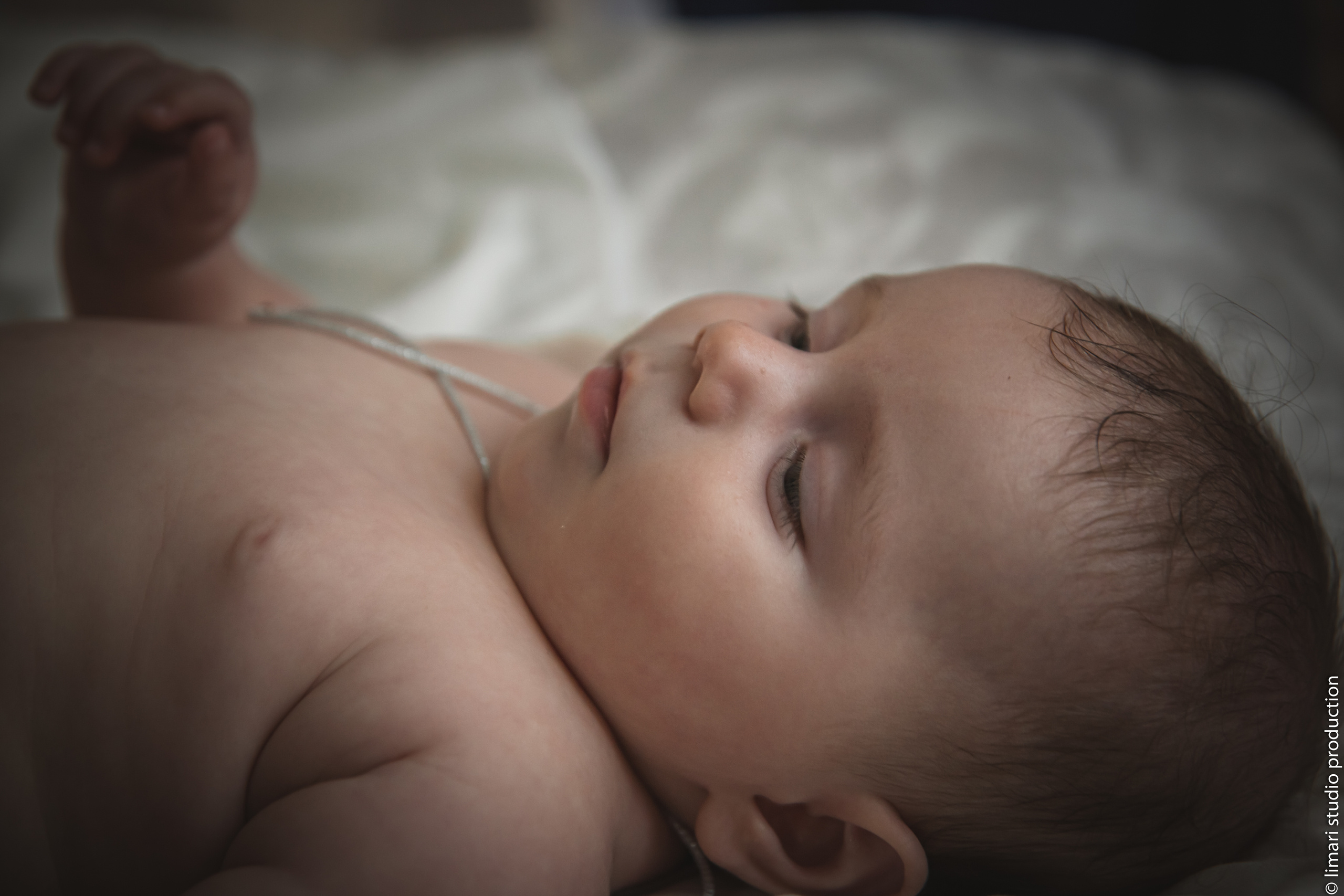 Mark. Фото видео в молдове