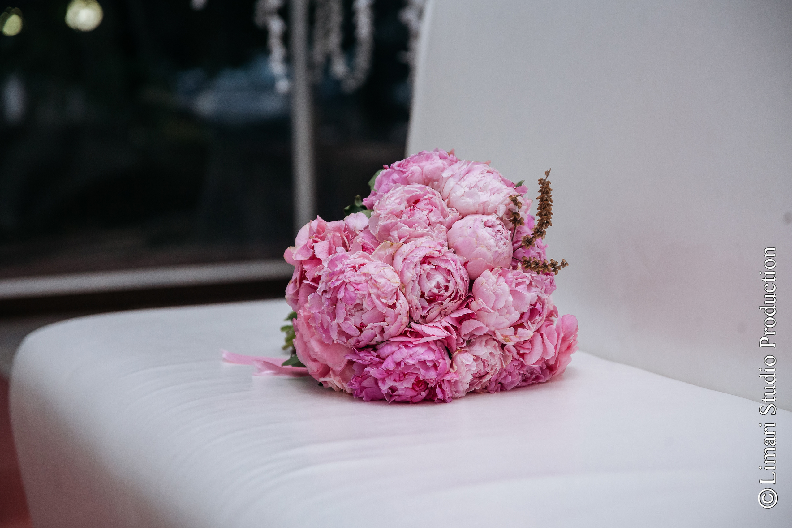 Ovidiu & Otilia. Фото видео в молдове