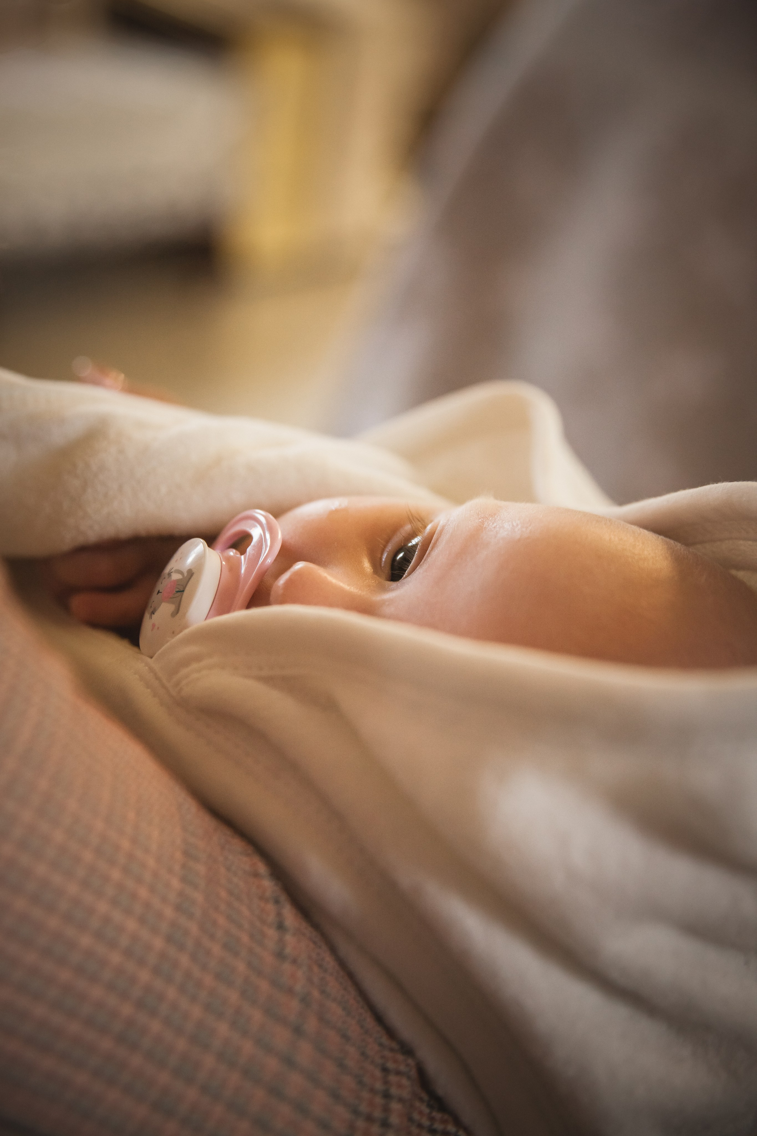 Sofia. Фото видео в молдове