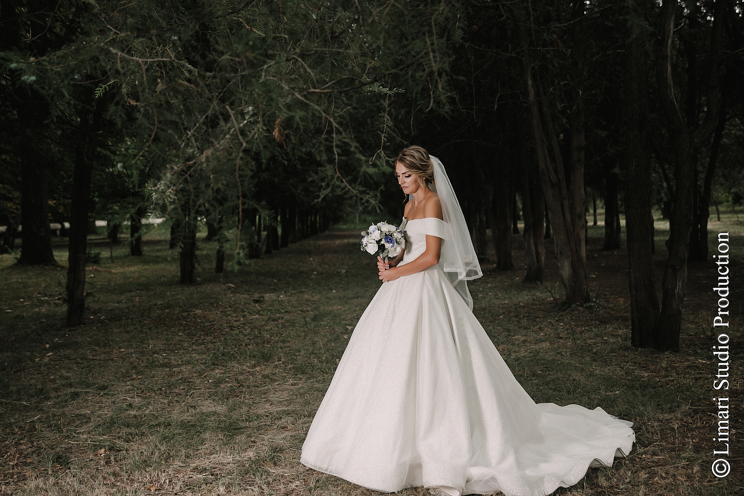 Diana & Vadim. Фото видео в молдове