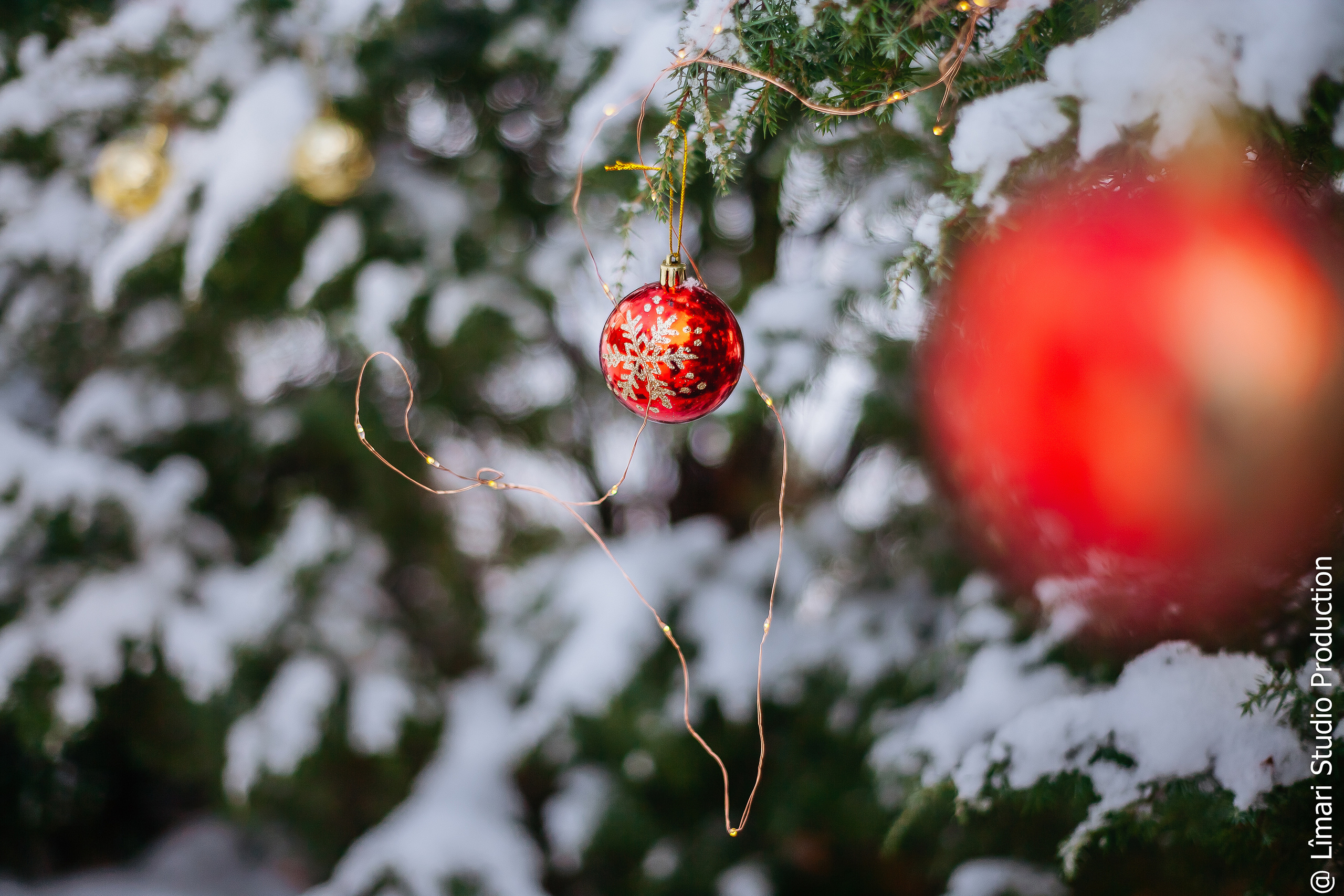 Фотограф молдова. Фото видео в молдове
