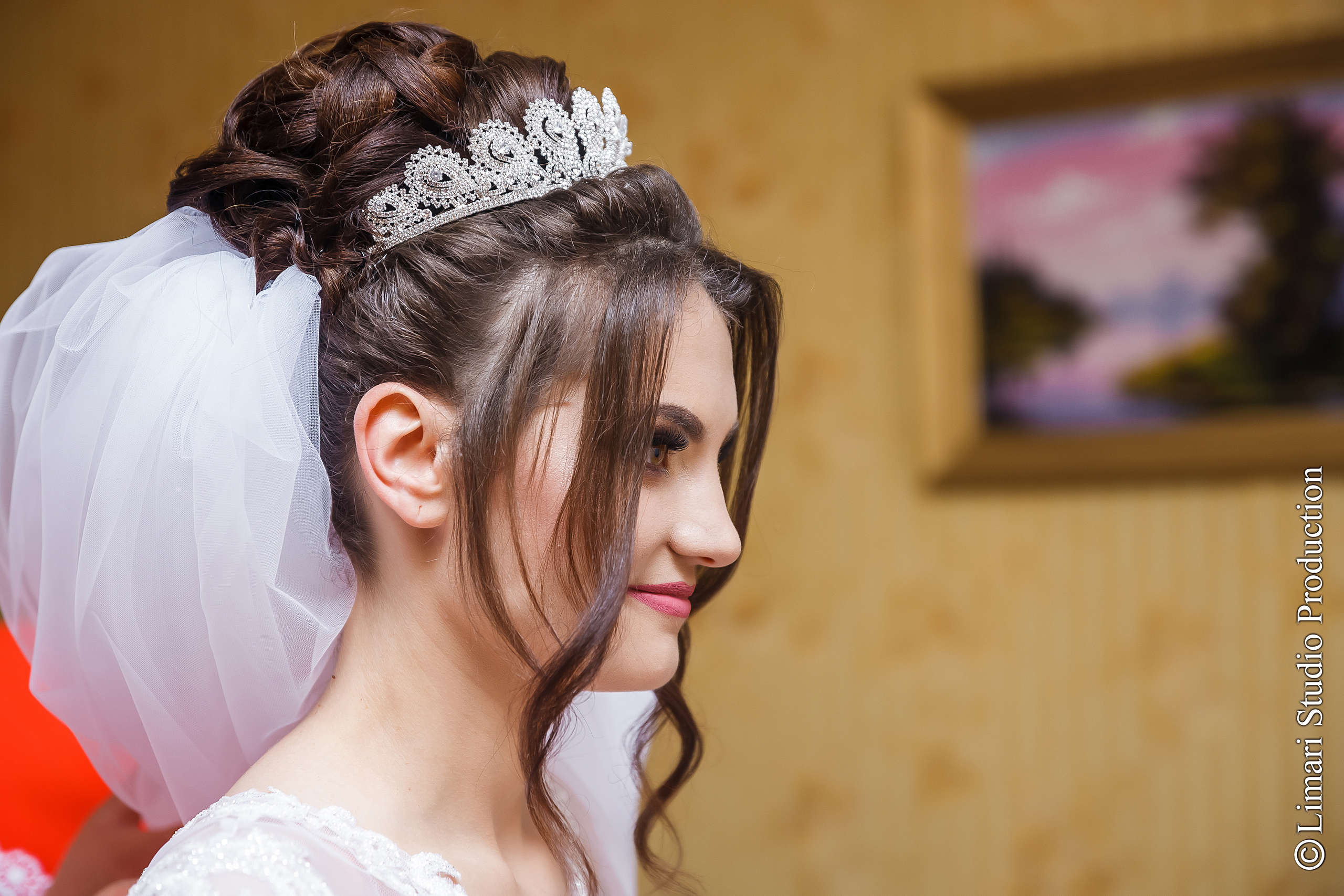 Dana & Andrian. Фото видео в молдове