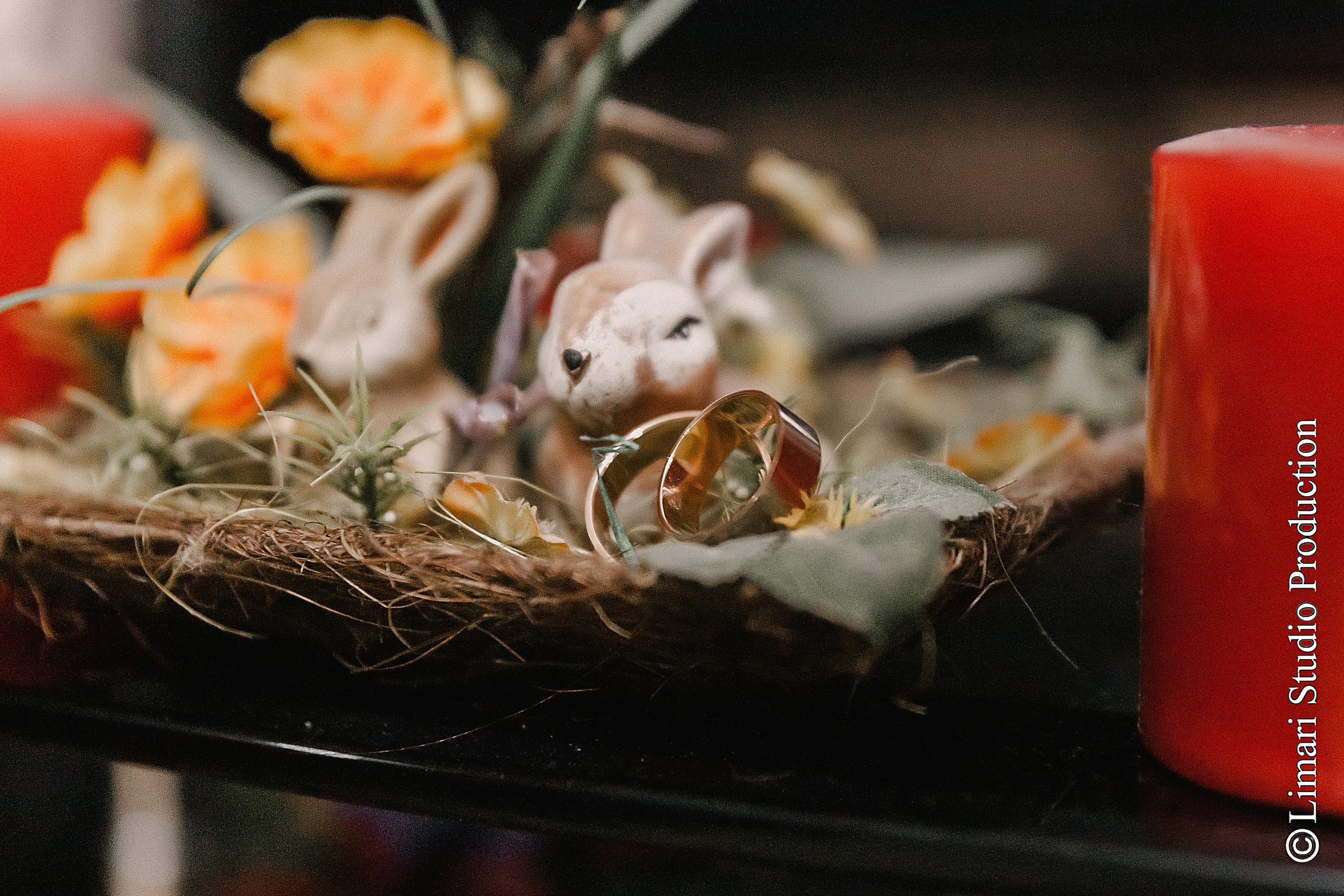 Diana & Vadim. Фото видео в молдове