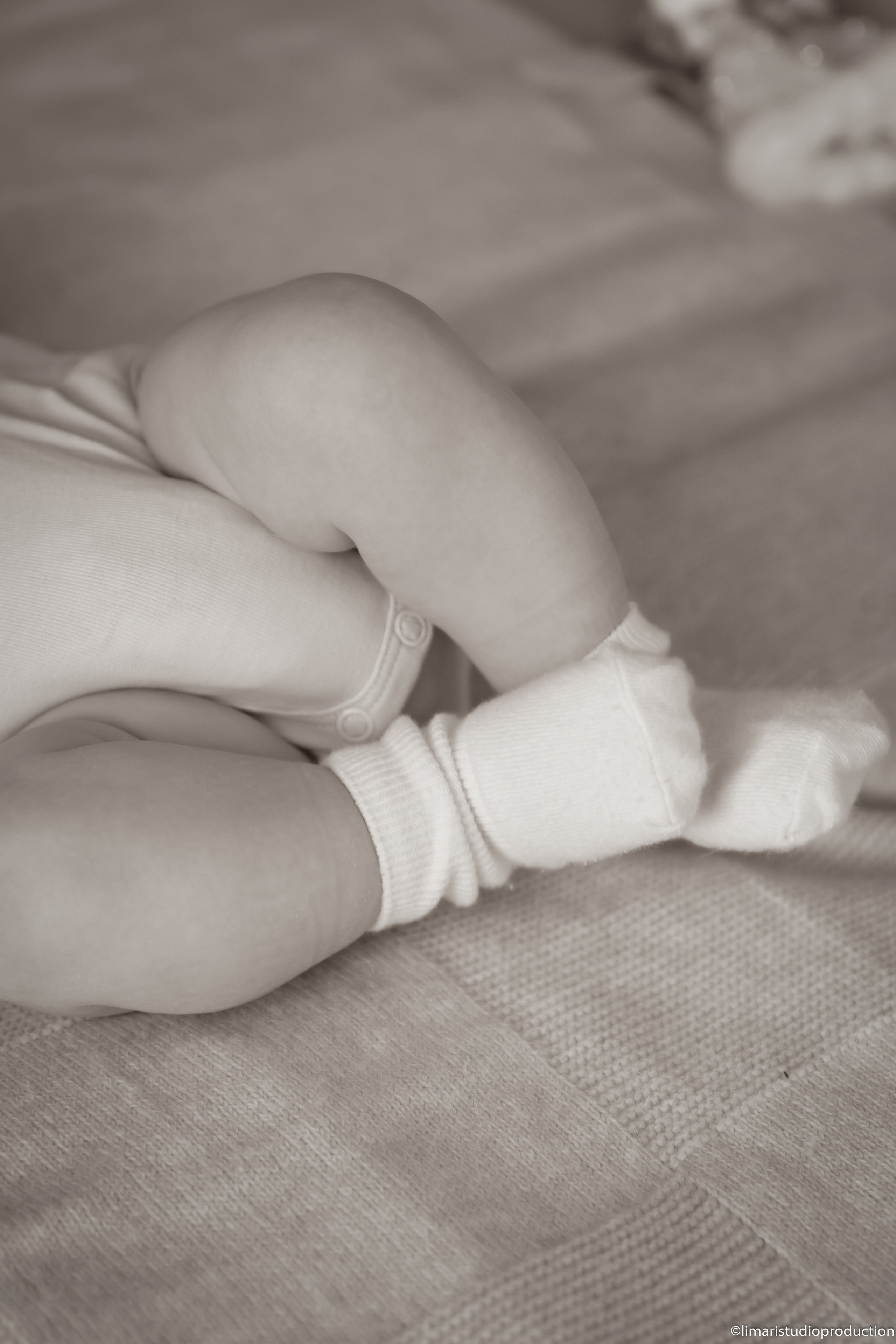 Little Angel. Фото видео в молдове