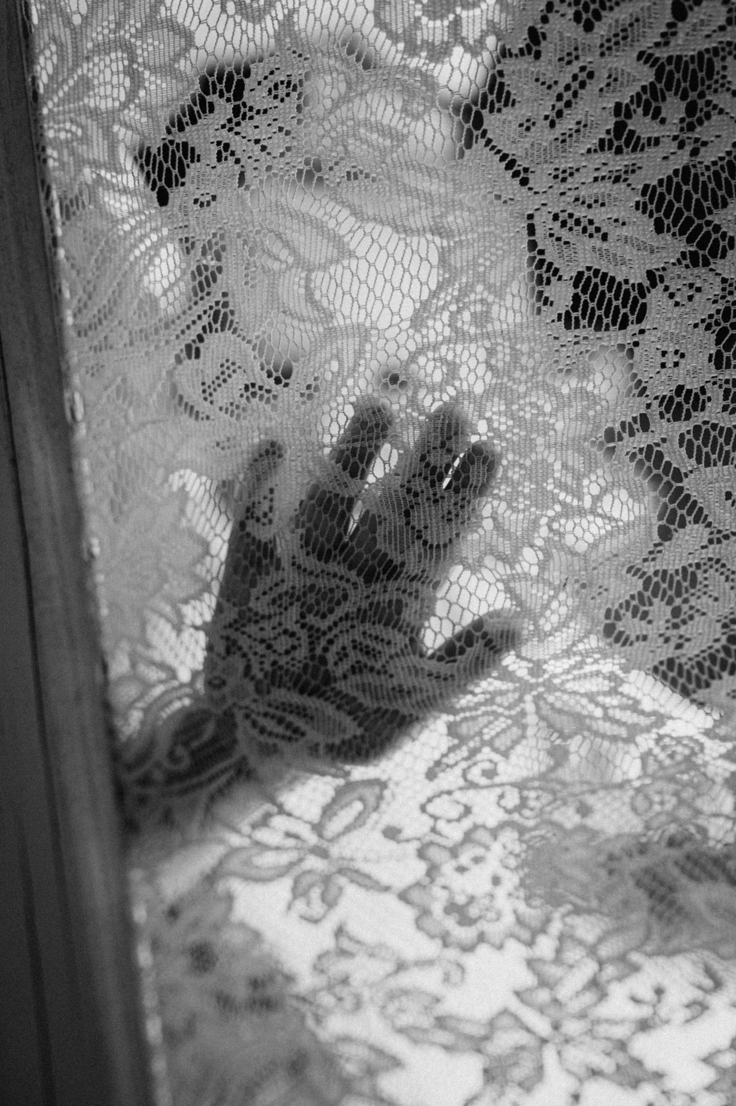 Marina, Sasha & Amelia. Family photography in Europe. Vienna, Bratislava, London, Dublin, Copenhagen, Amsterdam, Barcelona