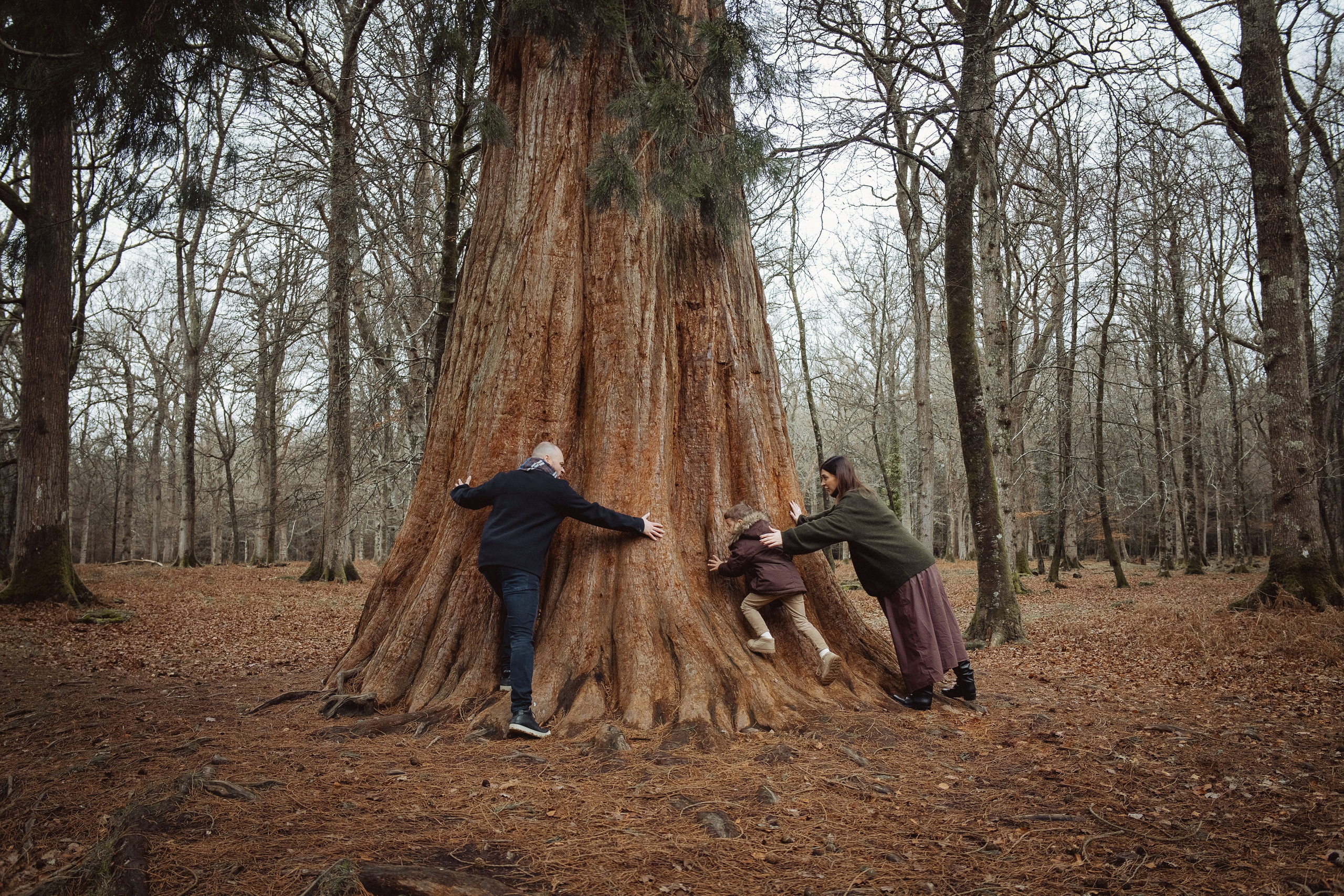 Family photography in Europe. Vienna, Bratislava, London, Dublin, Copenhagen, Amsterdam, Barcelona