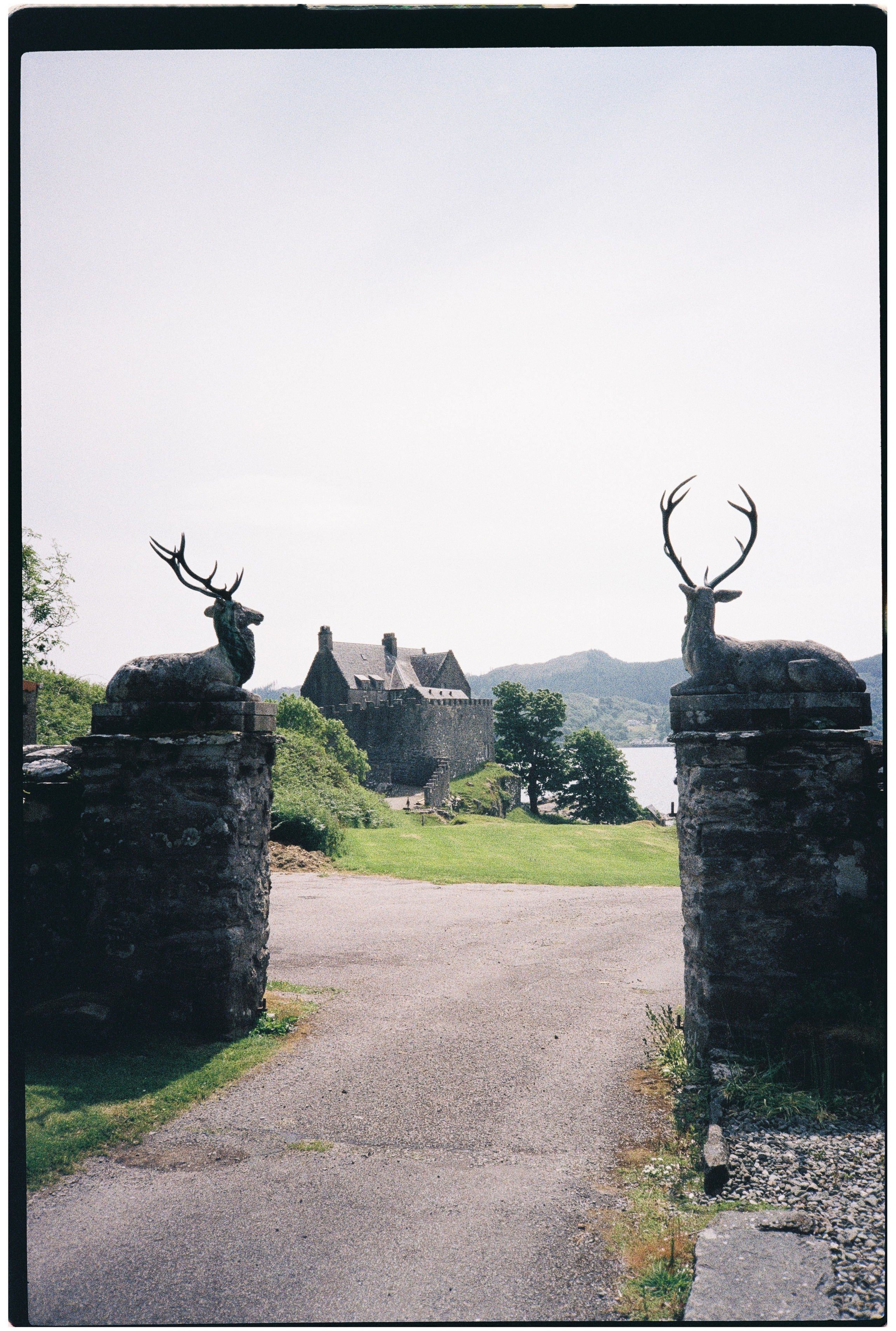 For Business. Family photography in Europe. Vienna, Bratislava, London, Dublin, Copenhagen, Amsterdam, Barcelona