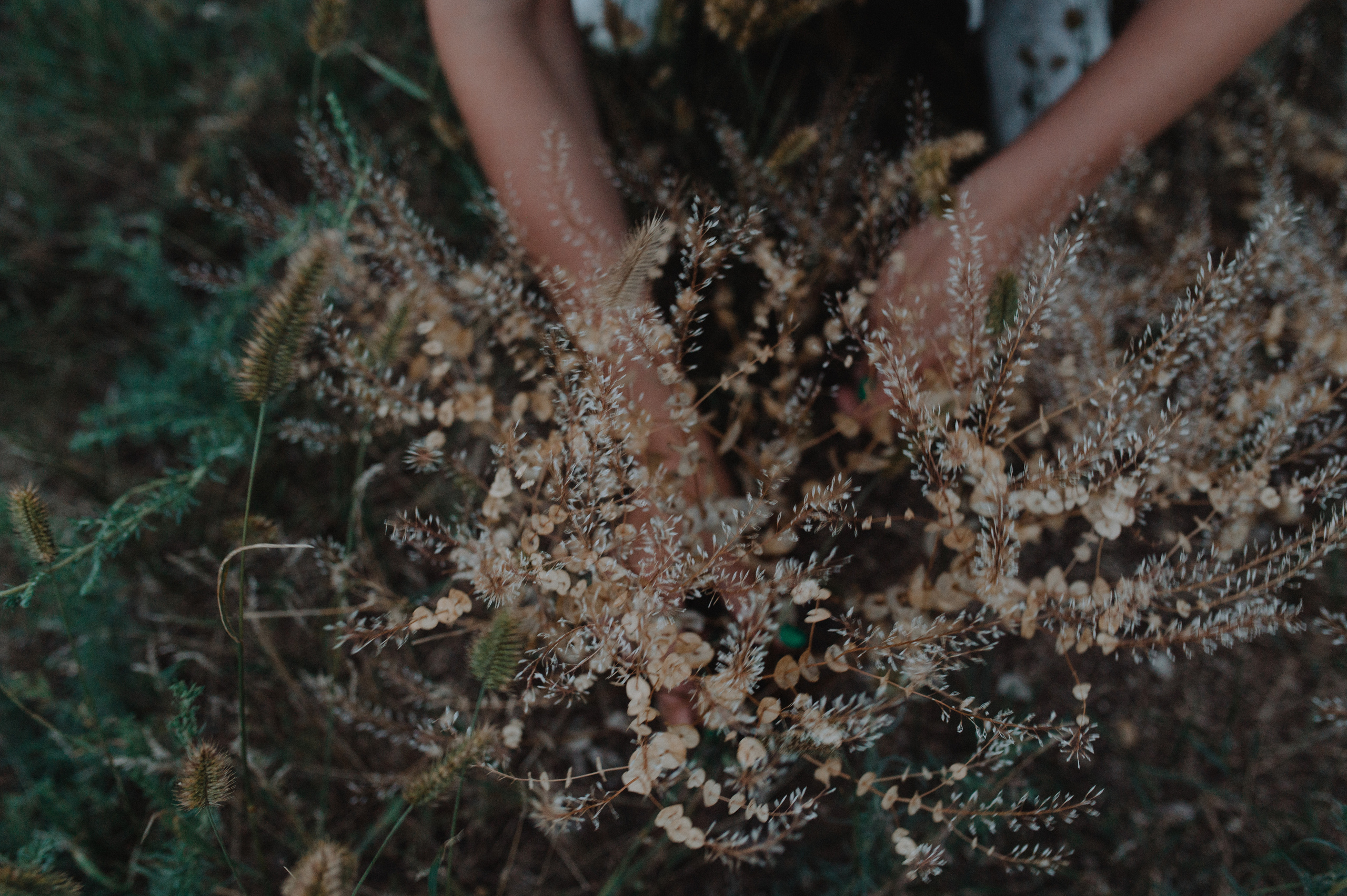 Nataly and Nick. Family photography in Europe. Vienna, Bratislava, London, Dublin, Copenhagen, Amsterdam, Barcelona