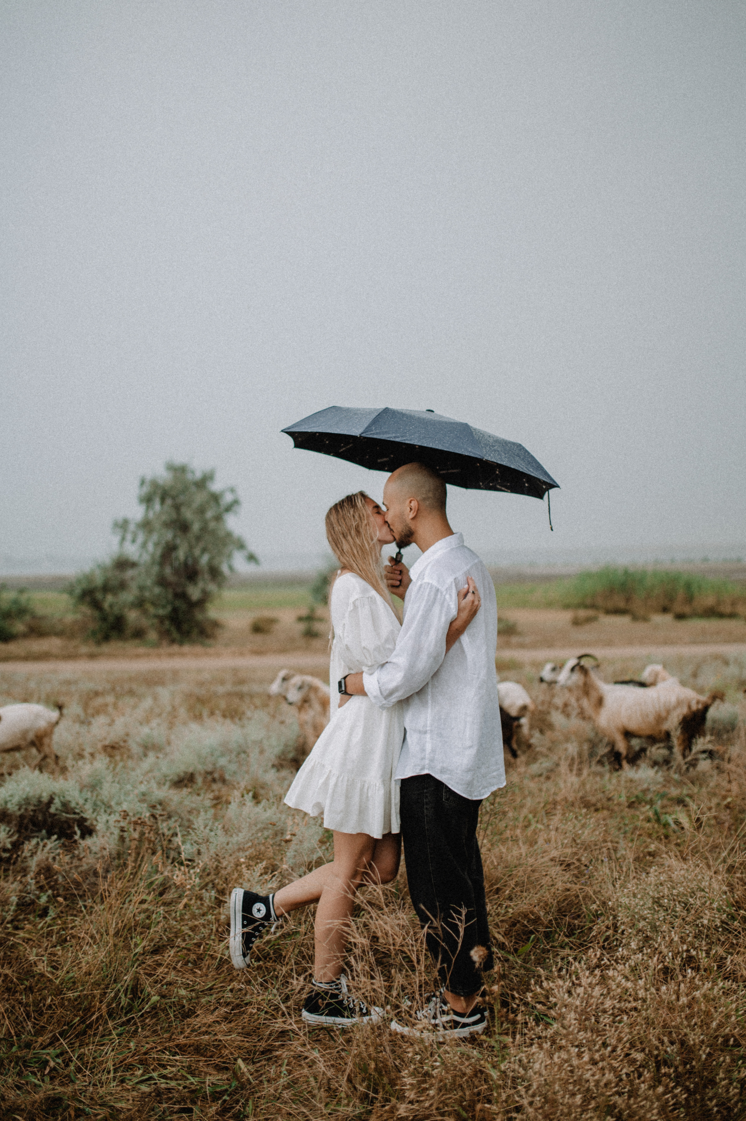 Vlada & Sasha. Family photography in Europe. Vienna, Bratislava, London, Dublin, Copenhagen, Amsterdam, Barcelona