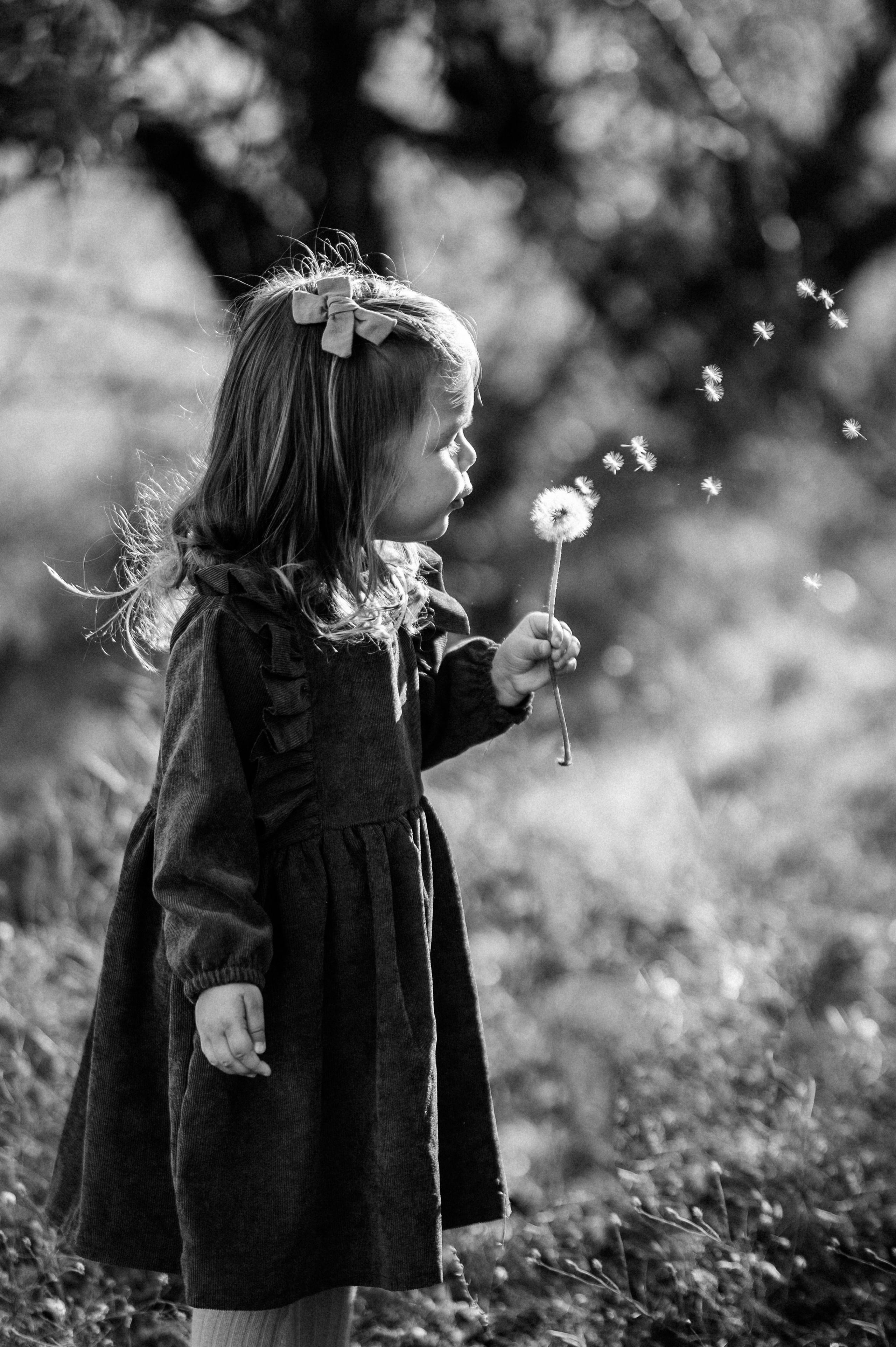 Kids. Family photography in Europe. Vienna, Bratislava, London, Dublin, Copenhagen, Amsterdam, Barcelona