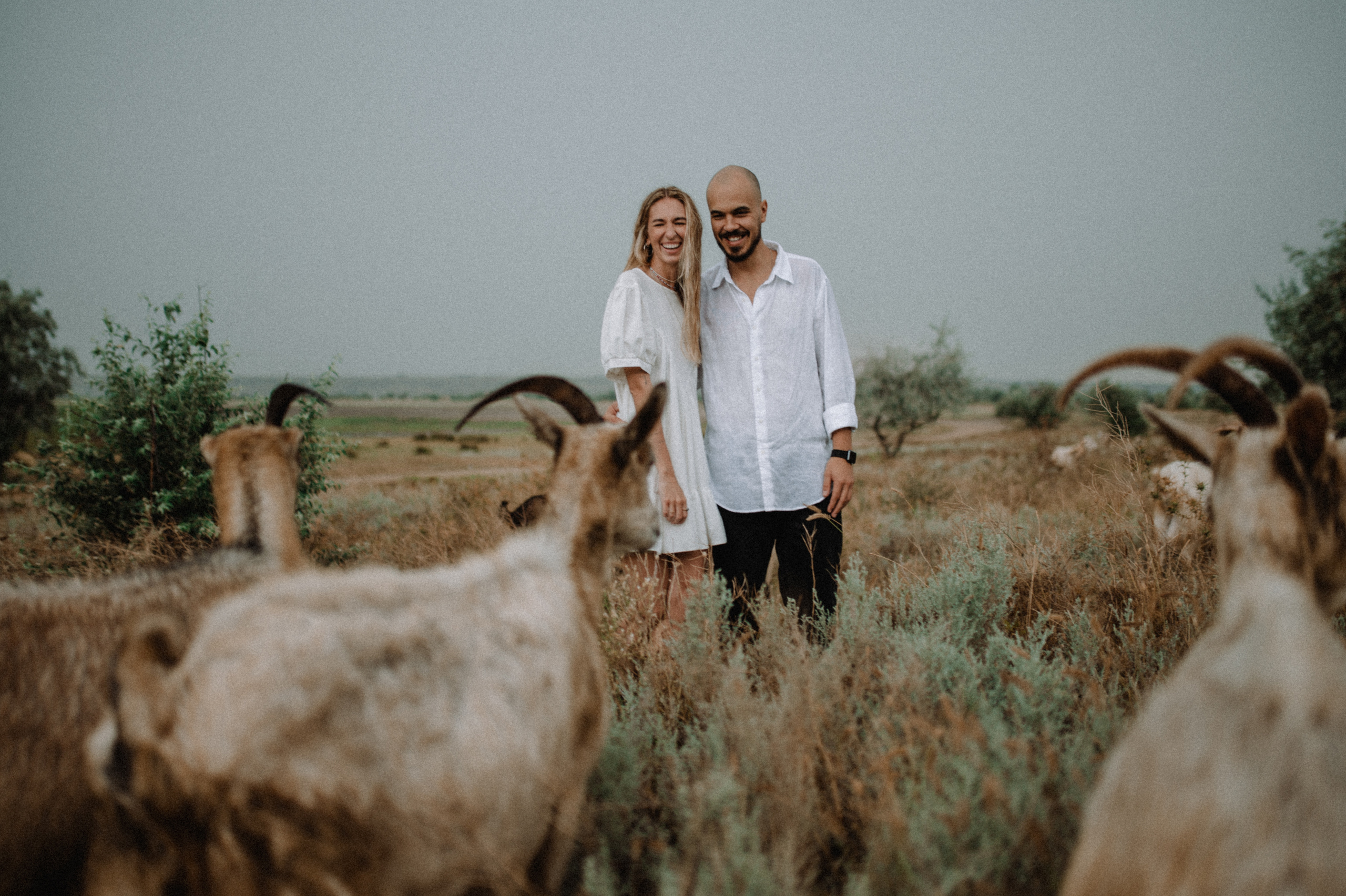 Vlada & Sasha. Family photography in Europe. Vienna, Bratislava, London, Dublin, Copenhagen, Amsterdam, Barcelona