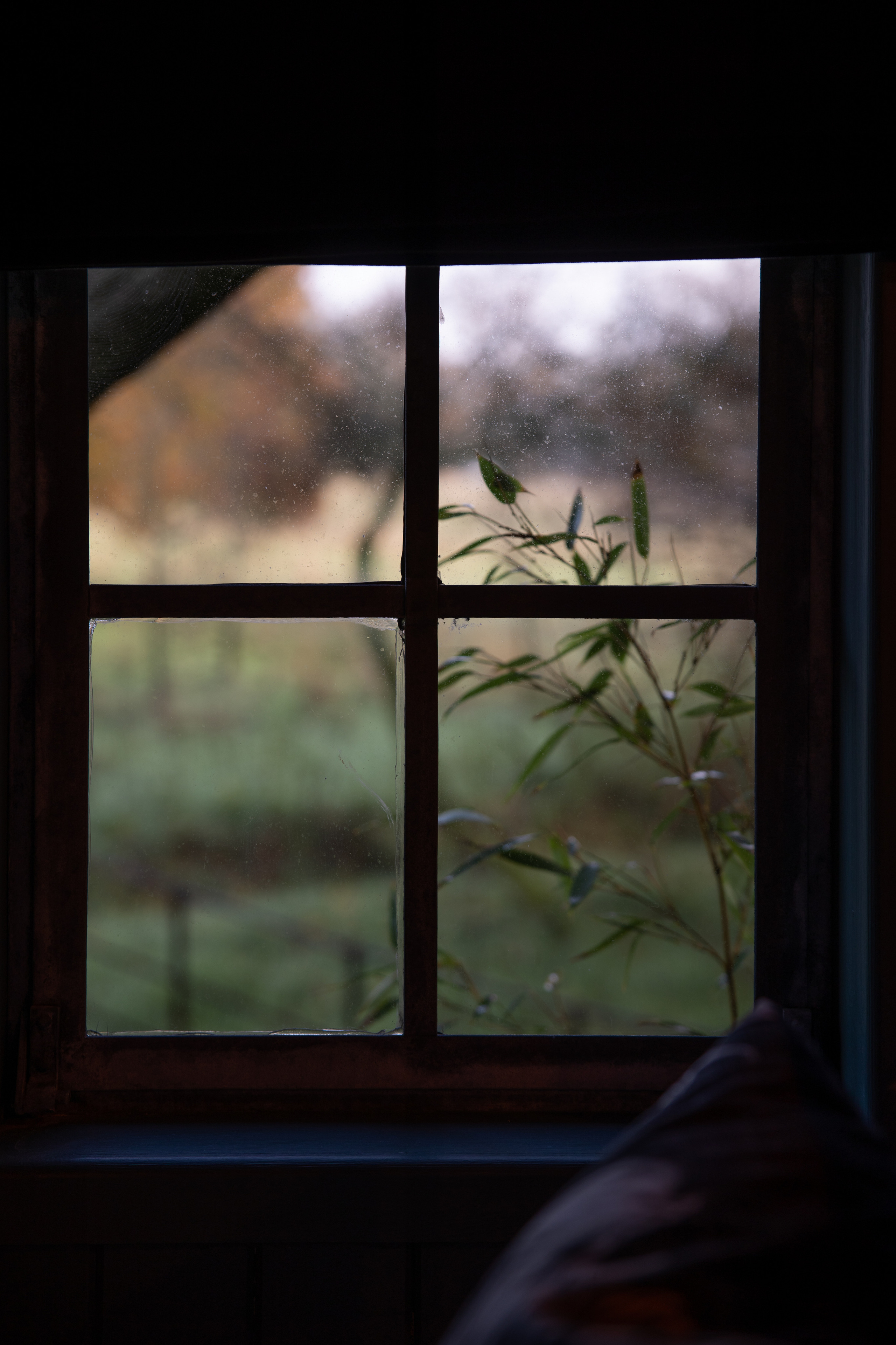 For Business. Family photography in Europe. Vienna, Bratislava, London, Dublin, Copenhagen, Amsterdam, Barcelona