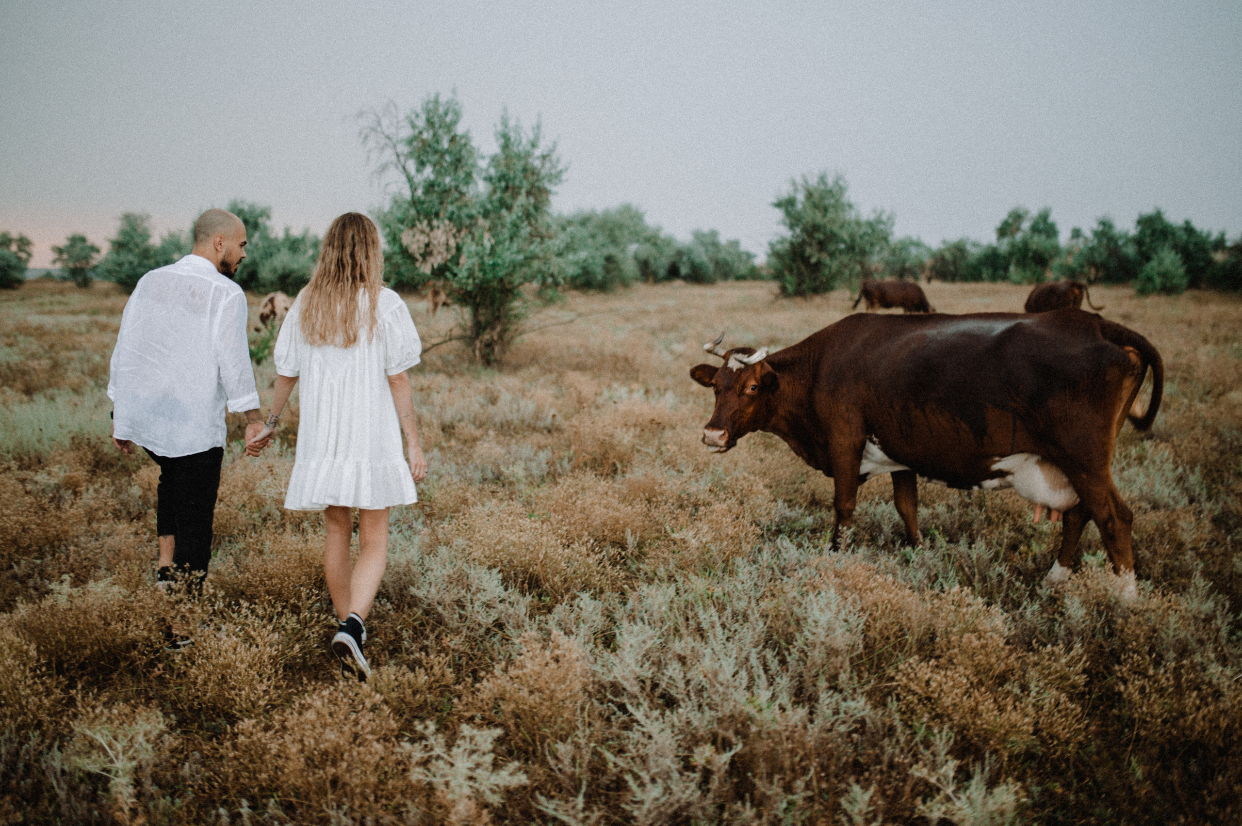 Vlada & Sasha. Family photography in Europe. Vienna, Bratislava, London, Dublin, Copenhagen, Amsterdam, Barcelona