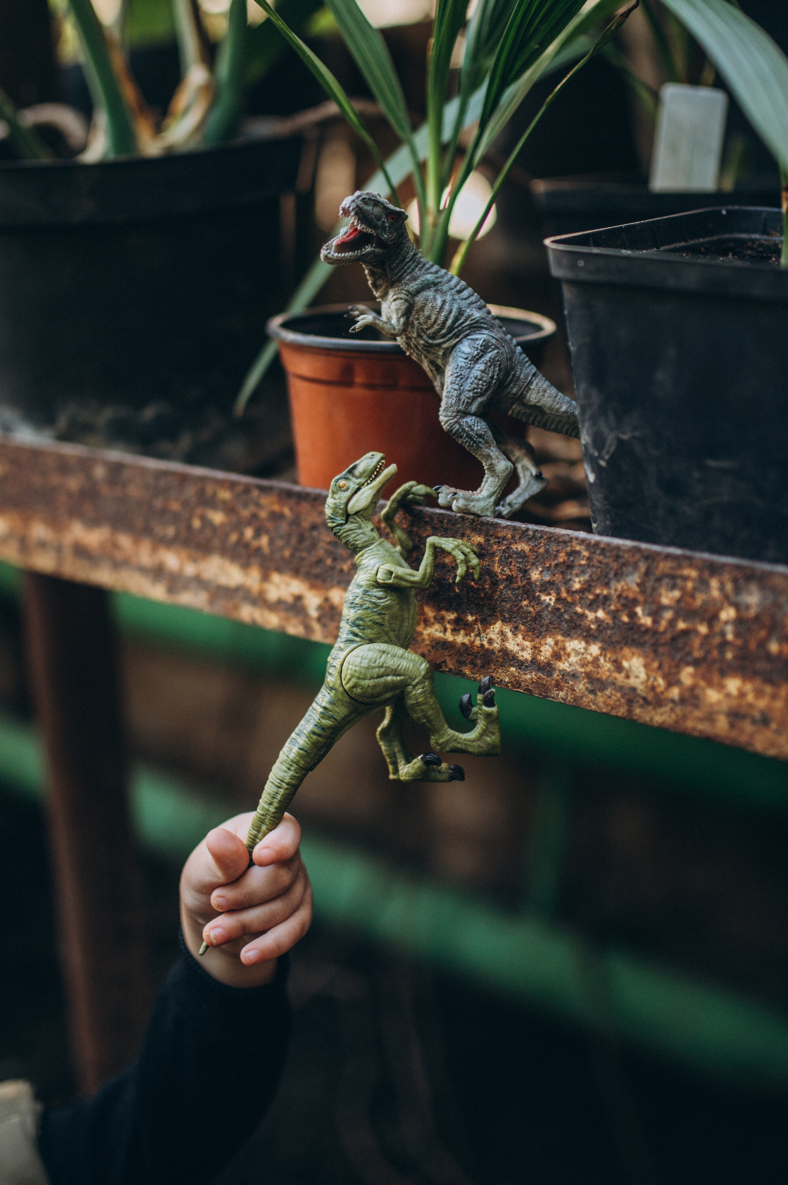 Kids. Family photography in Europe. Vienna, Bratislava, London, Dublin, Copenhagen, Amsterdam, Barcelona