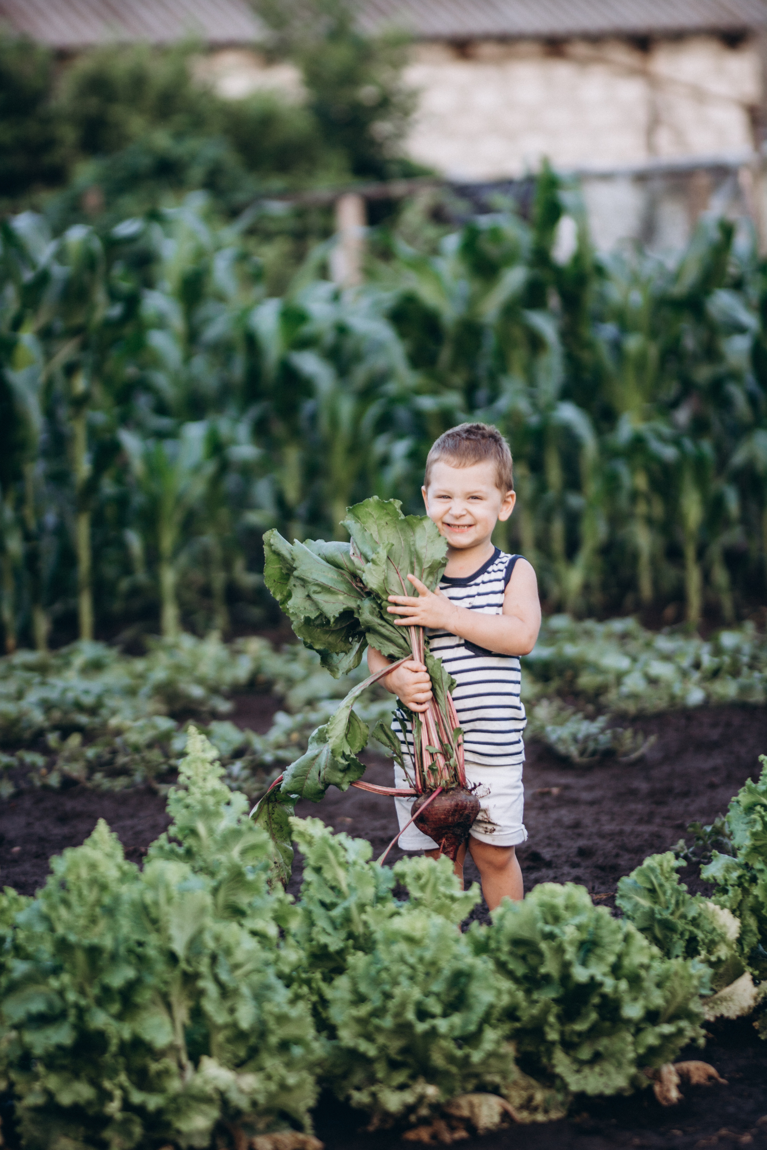 Kids. Family photography in Europe. Vienna, Bratislava, London, Dublin, Copenhagen, Amsterdam, Barcelona