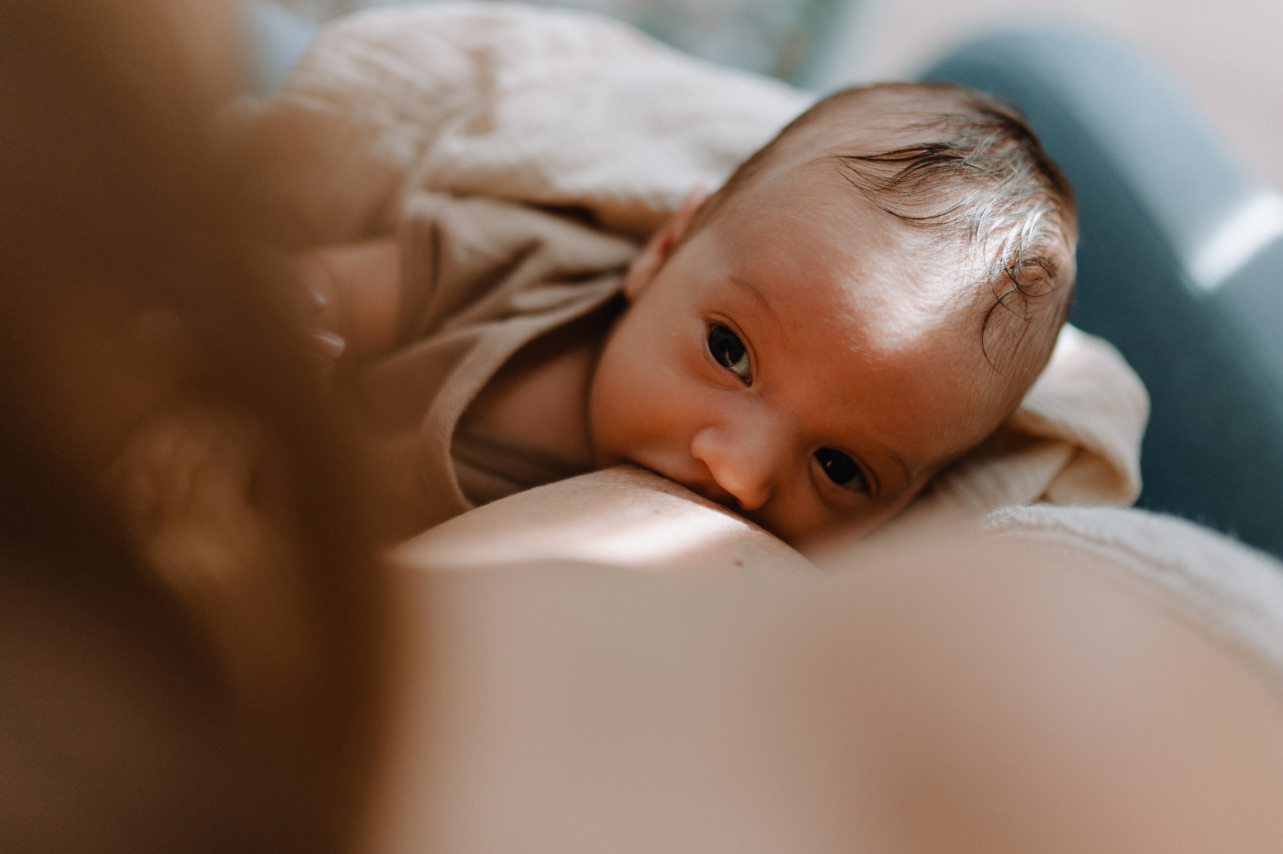 Little Stefan. Family photography in Europe. Vienna, Bratislava, London, Dublin, Copenhagen, Amsterdam, Barcelona