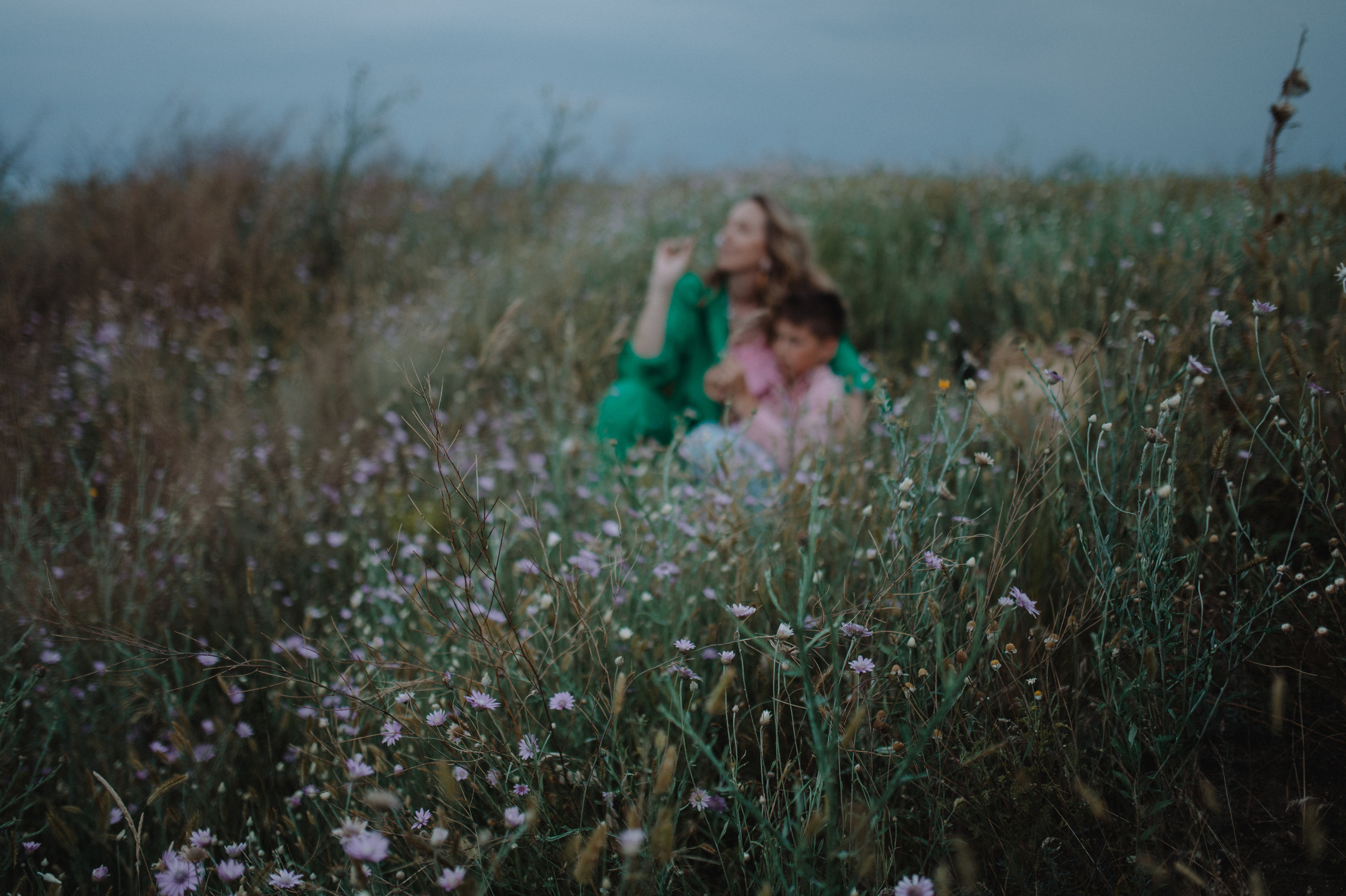 Nataly and Nick. Family photography in Europe. Vienna, Bratislava, London, Dublin, Copenhagen, Amsterdam, Barcelona