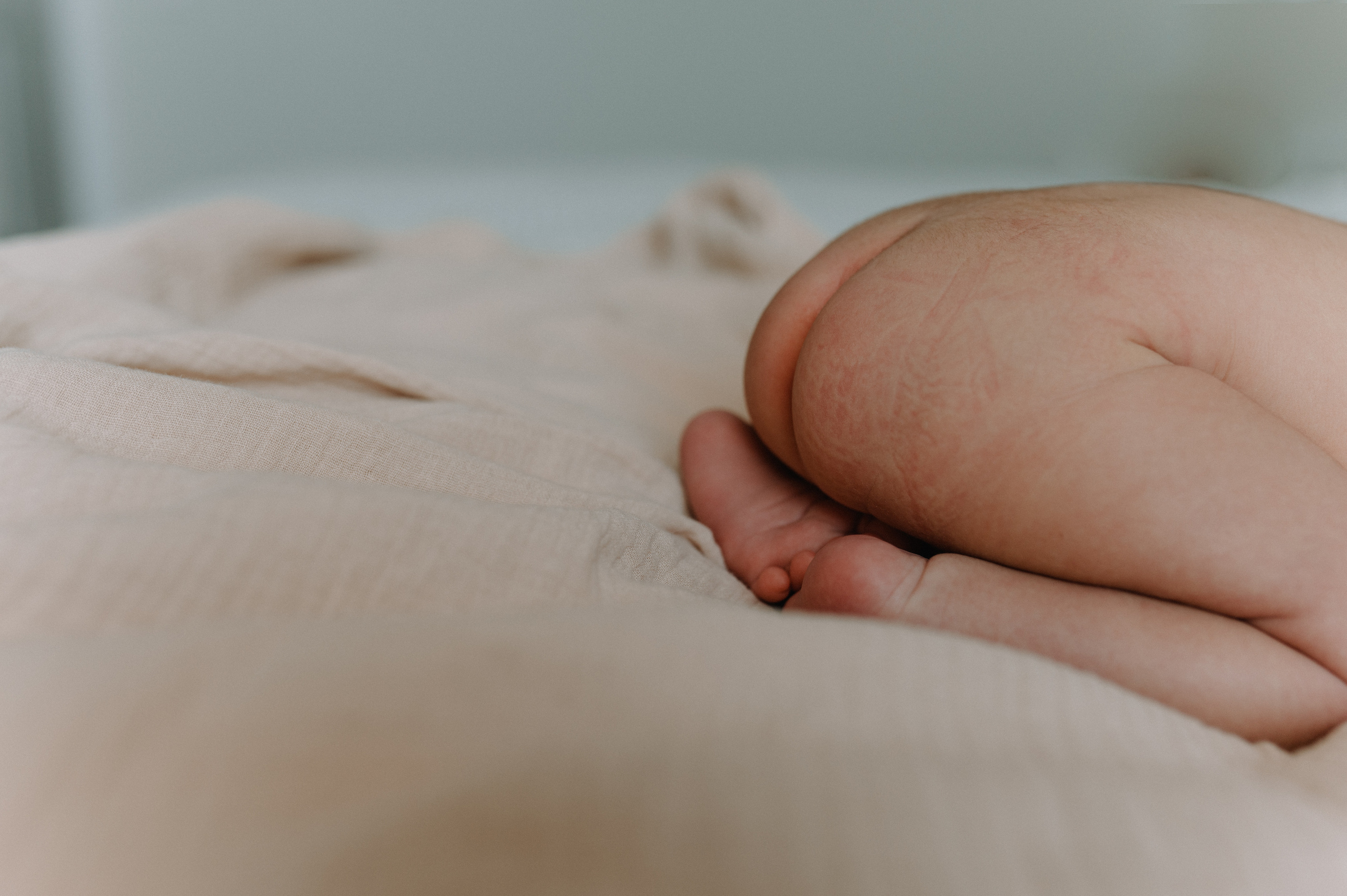 Little Stefan. Family photography in Europe. Vienna, Bratislava, London, Dublin, Copenhagen, Amsterdam, Barcelona