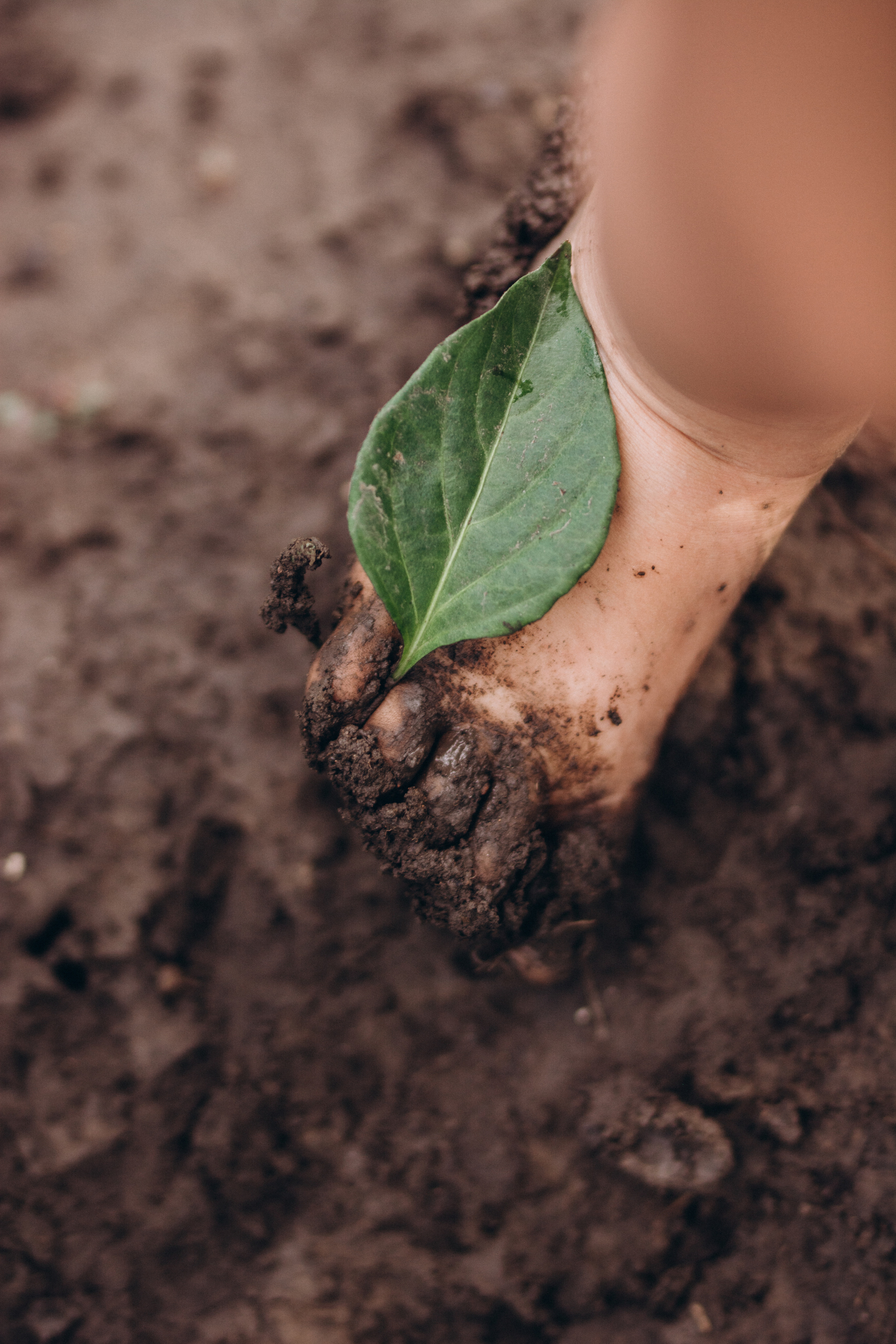 Kids. Family photography in Europe. Vienna, Bratislava, London, Dublin, Copenhagen, Amsterdam, Barcelona