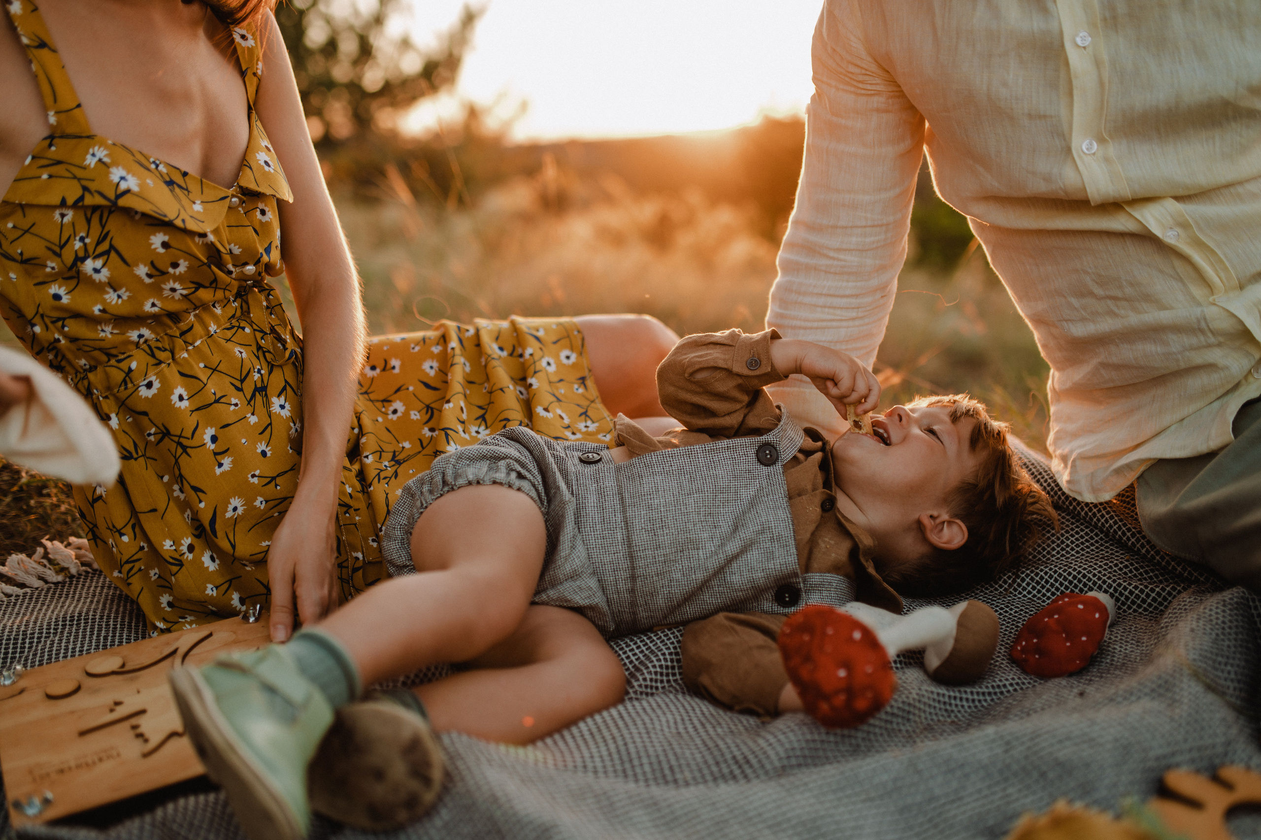 Nataly, Andrew and Nick. Family photography in Europe. Vienna, Bratislava, London, Dublin, Copenhagen, Amsterdam, Barcelona
