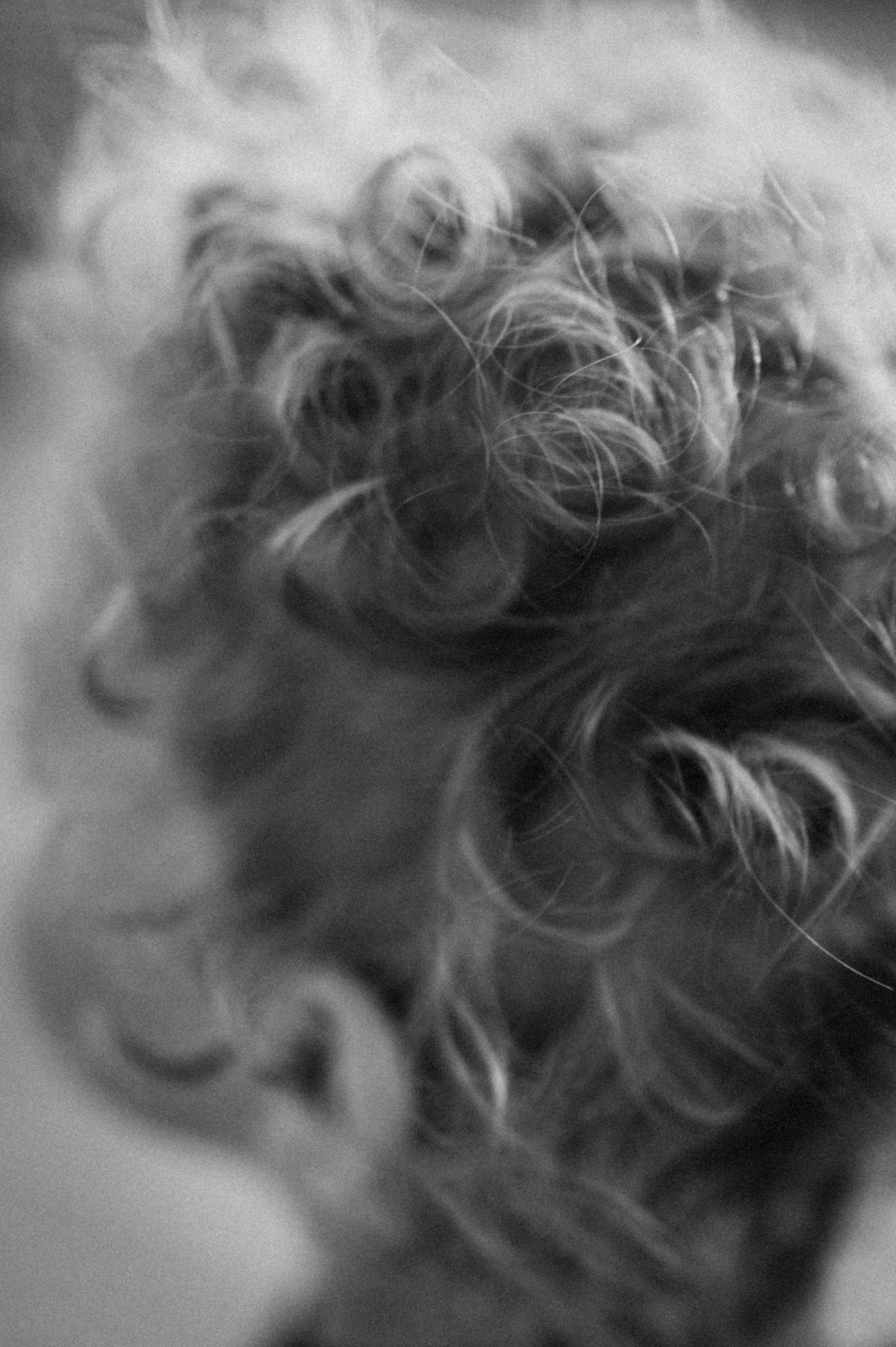 Sasha, Grisha and Lev. Family photography in Europe. Vienna, Bratislava, London, Dublin, Copenhagen, Amsterdam, Barcelona