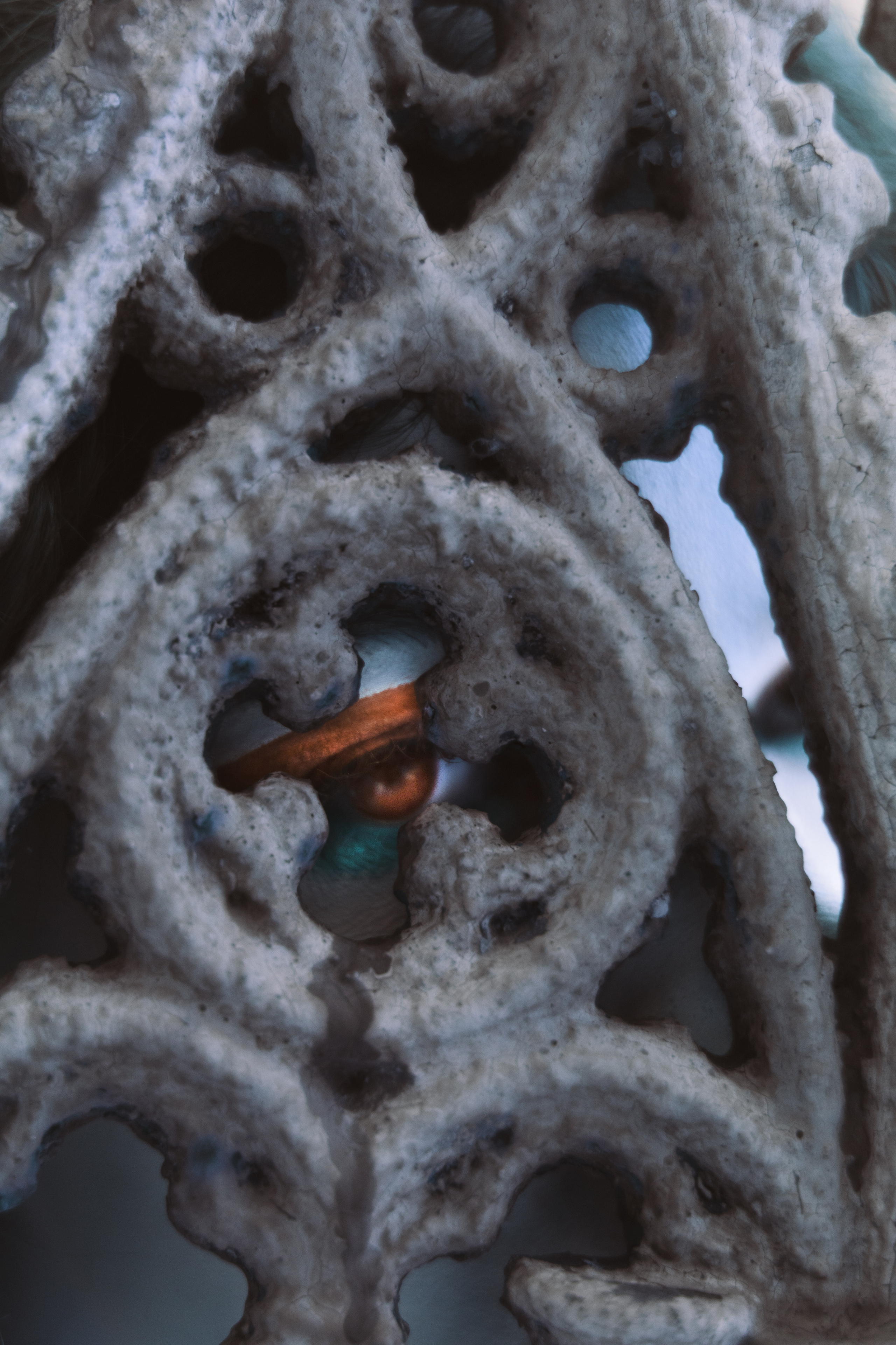 Аня Львів. +seexteens chase the moon 🌙+