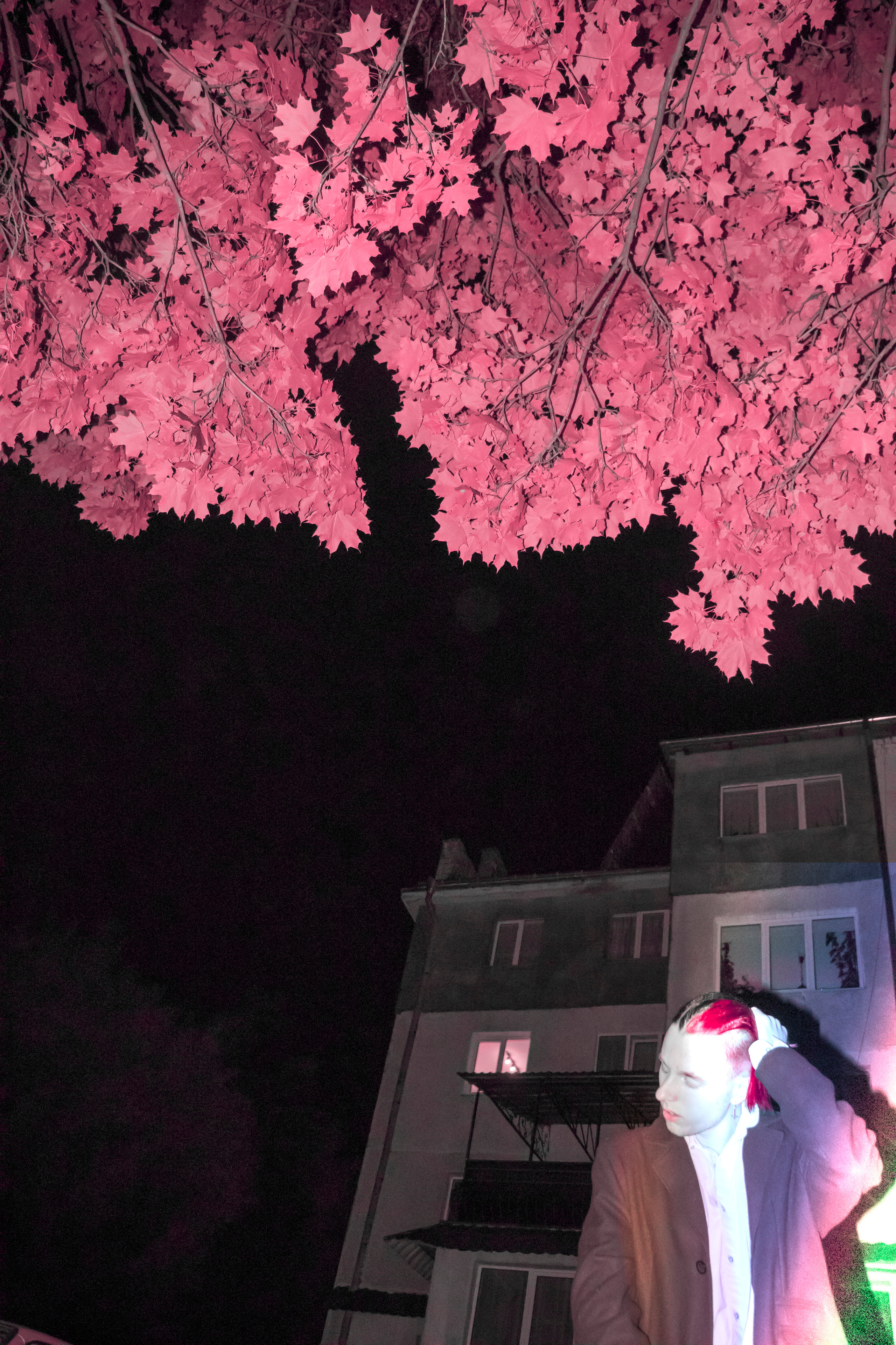 NIGHTS-. +seexteens chase the moon 🌙+