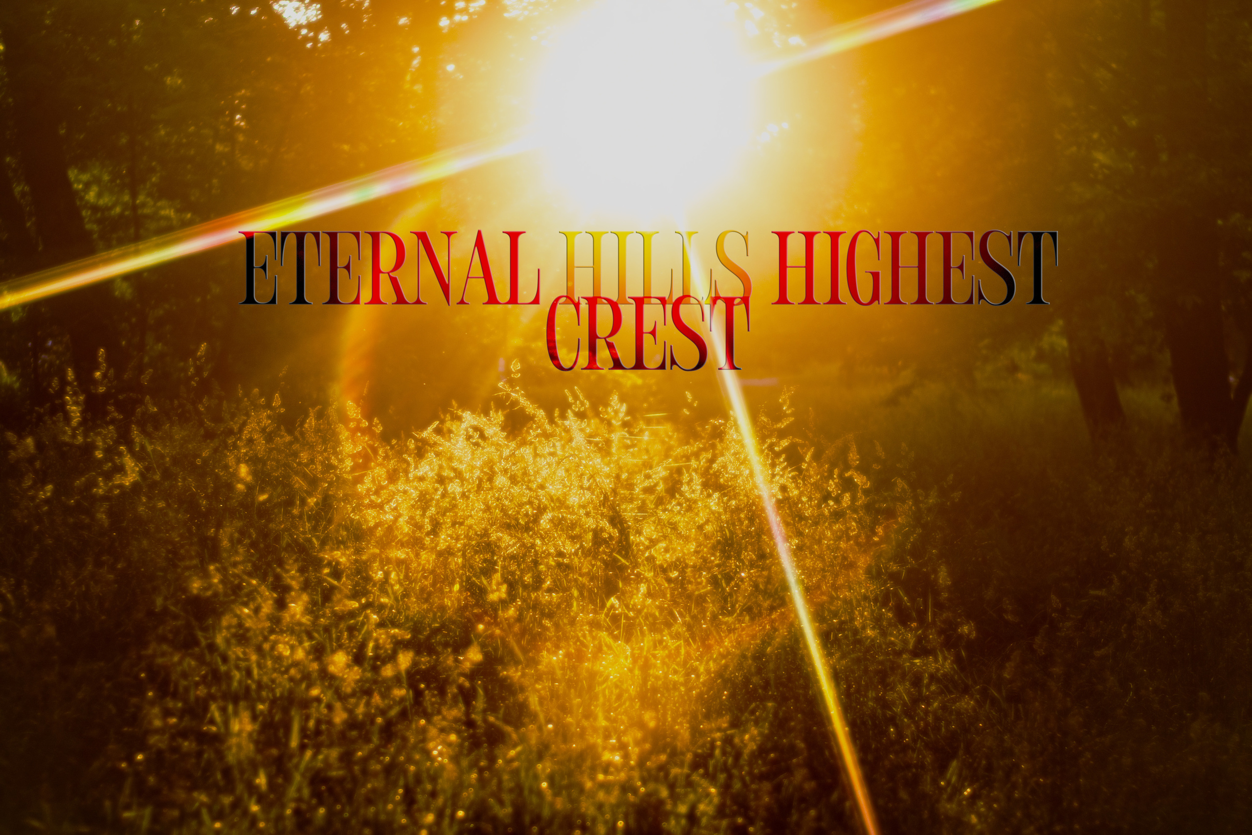 Disordered mind. +seexteens chase the moon 🌙+