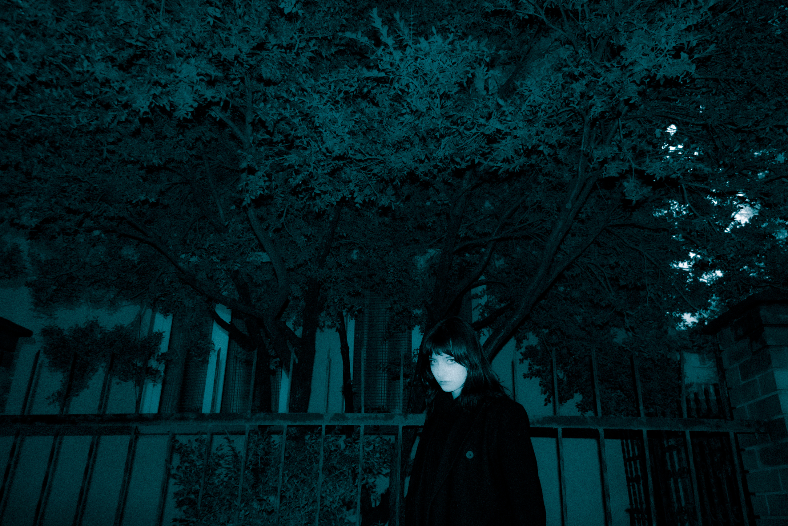 Bloom to death+. +seexteens chase the moon 🌙+