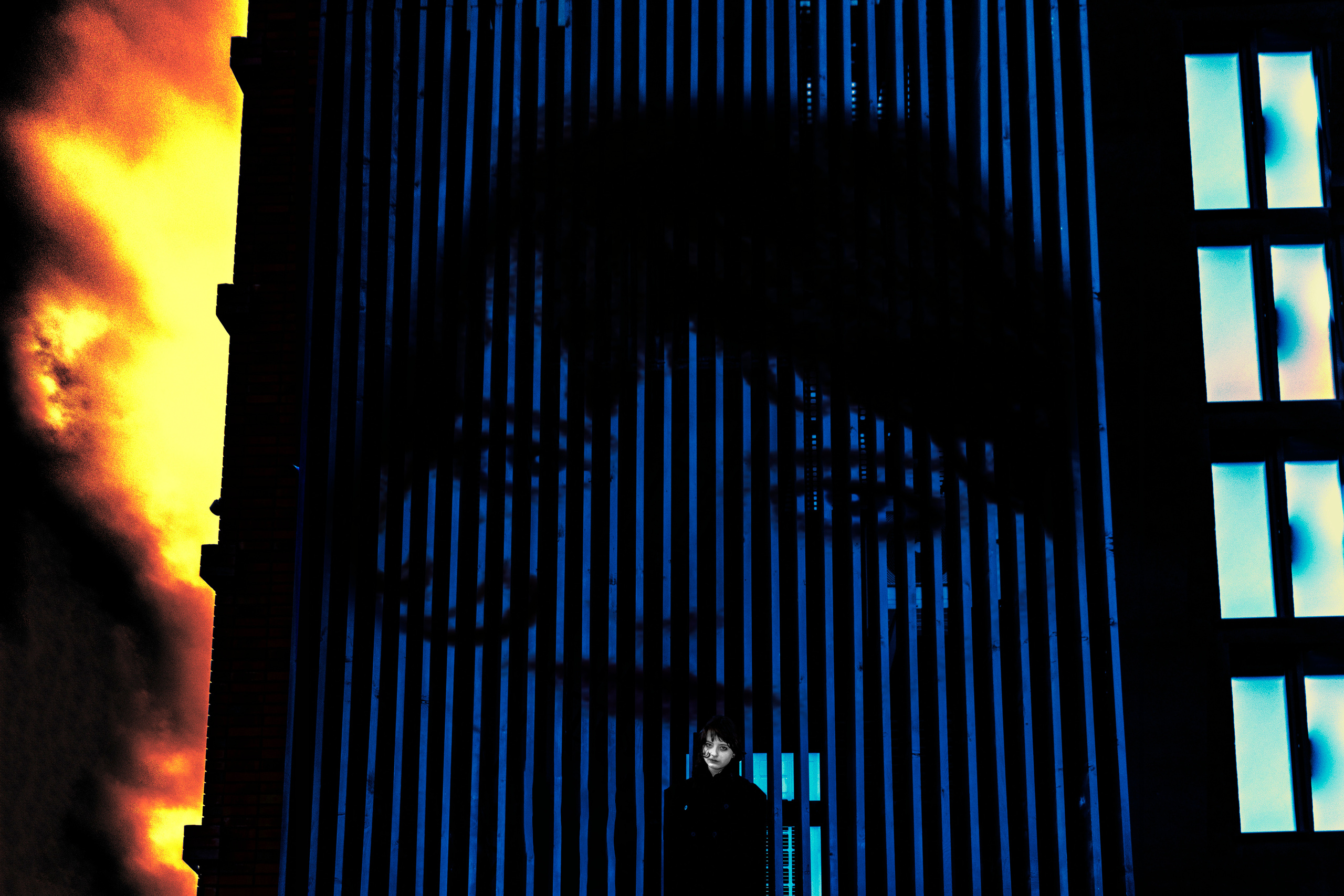 Bloom to death+. +seexteens chase the moon 🌙+