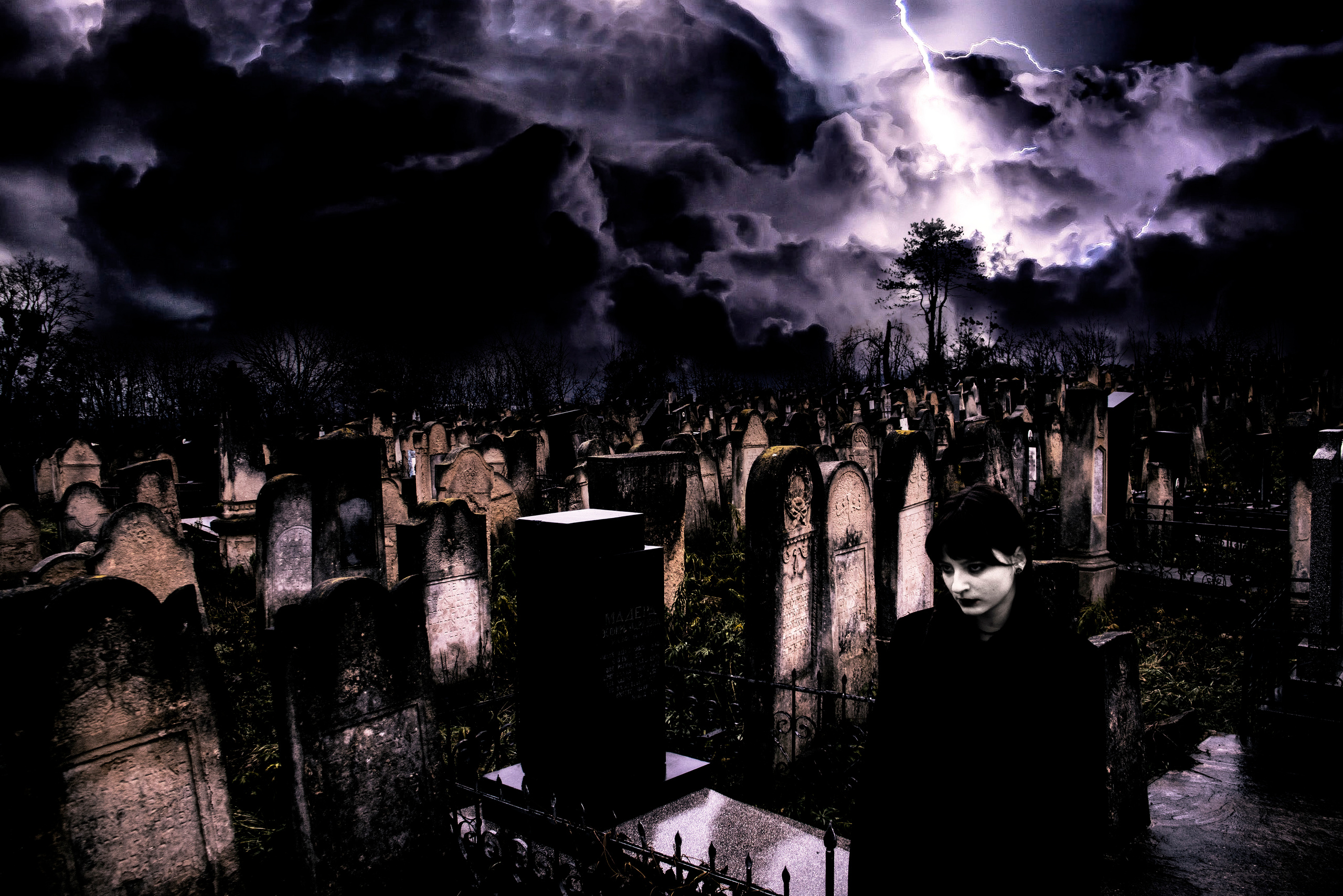 Bloom to death+. +seexteens chase the moon 🌙+