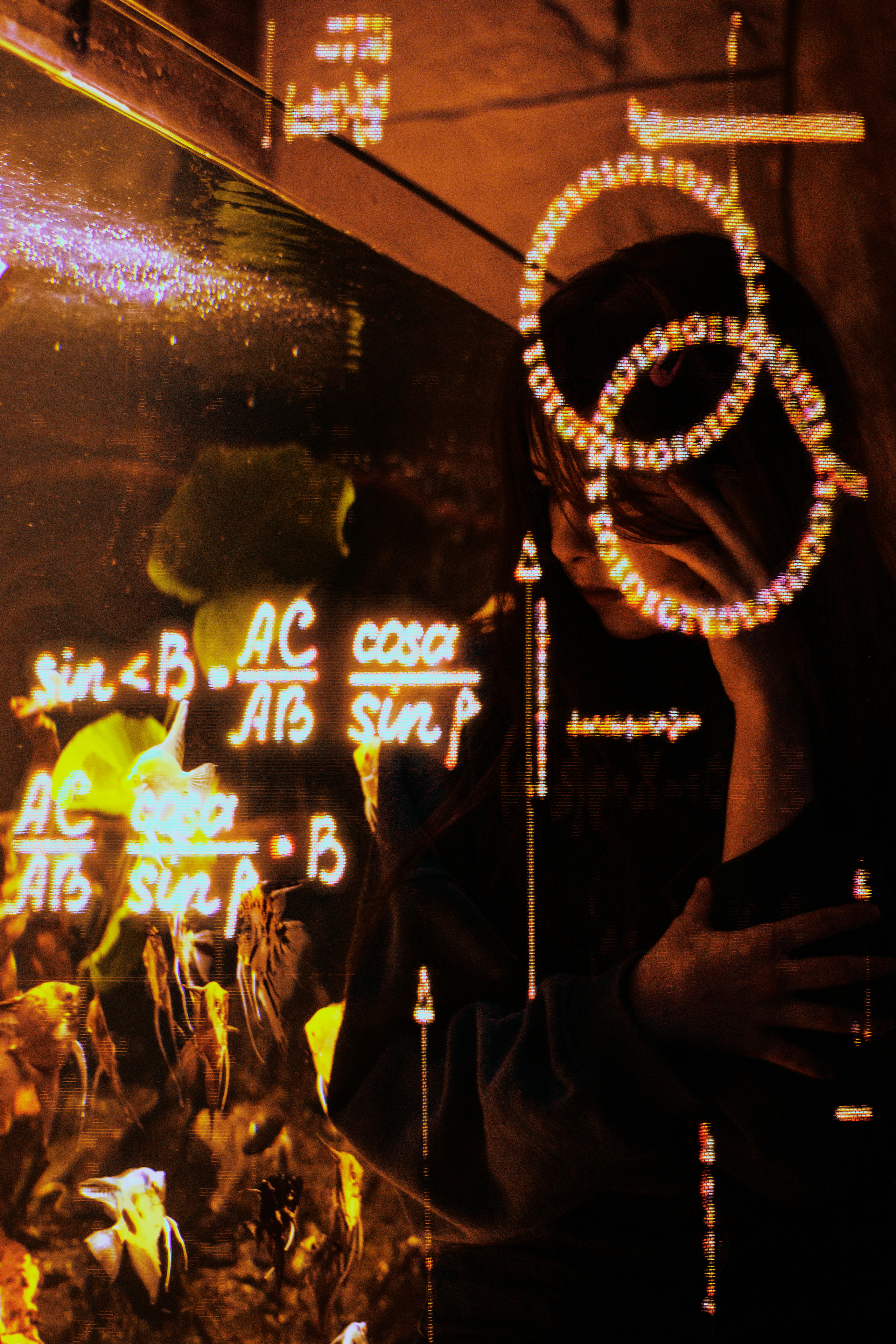 Соня Львів океанаріум. +seexteens chase the moon 🌙+