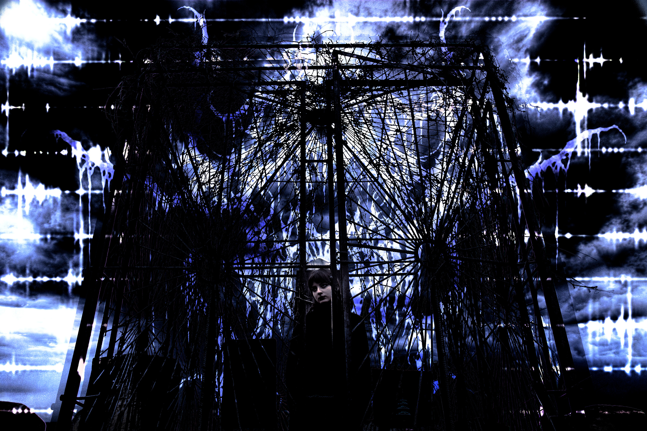 Bloom to death+. +seexteens chase the moon 🌙+