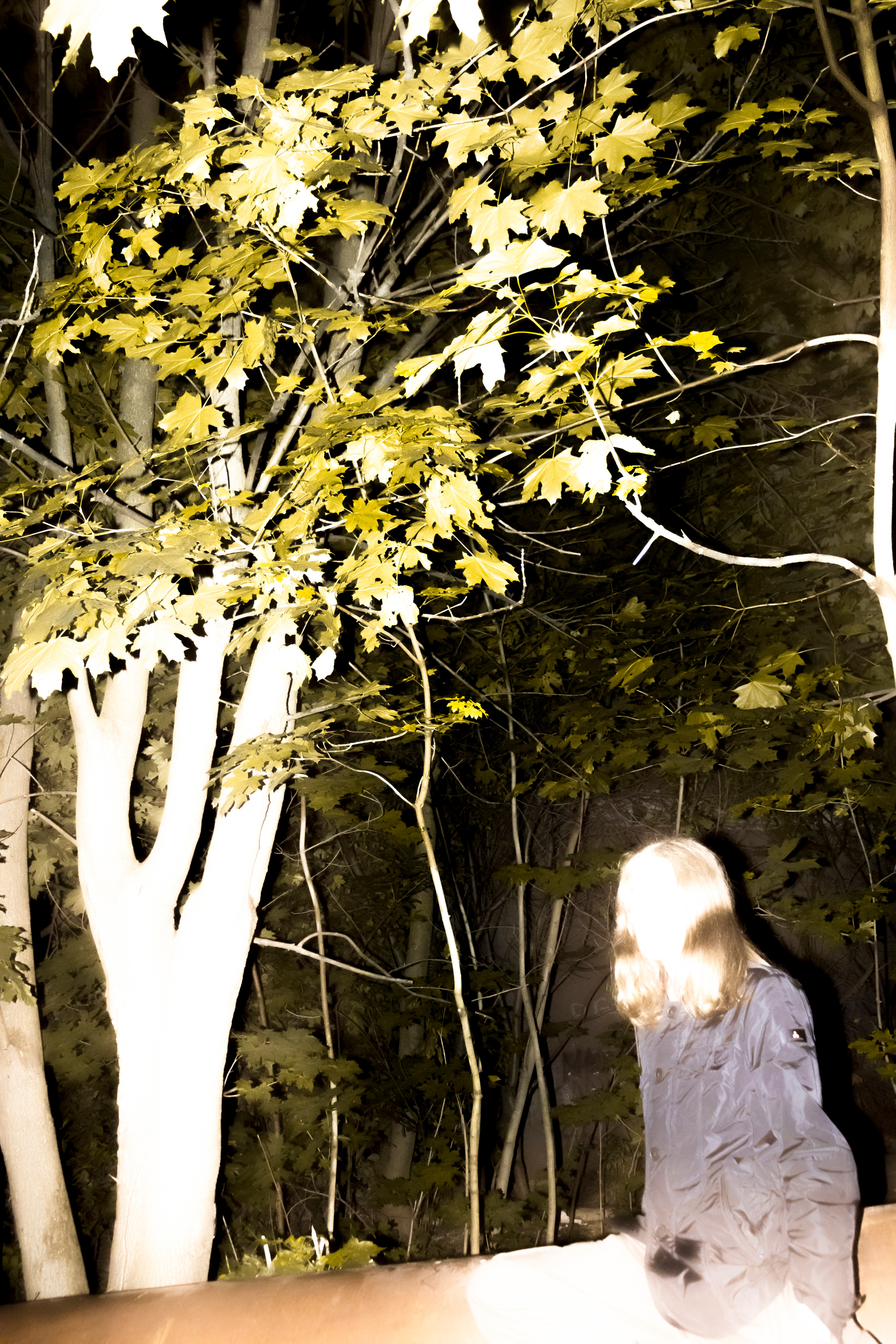 NIGHTS-. +seexteens chase the moon 🌙+