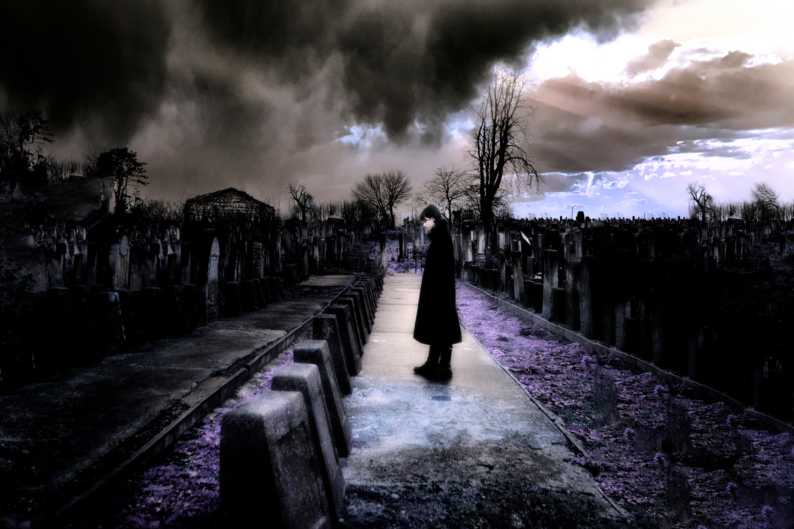 Bloom to death+. +seexteens chase the moon 🌙+