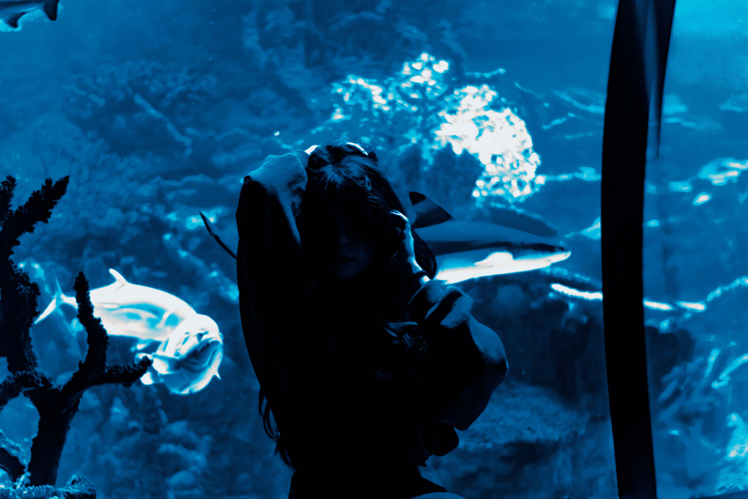 Соня Львів океанаріум. +seexteens chase the moon 🌙+