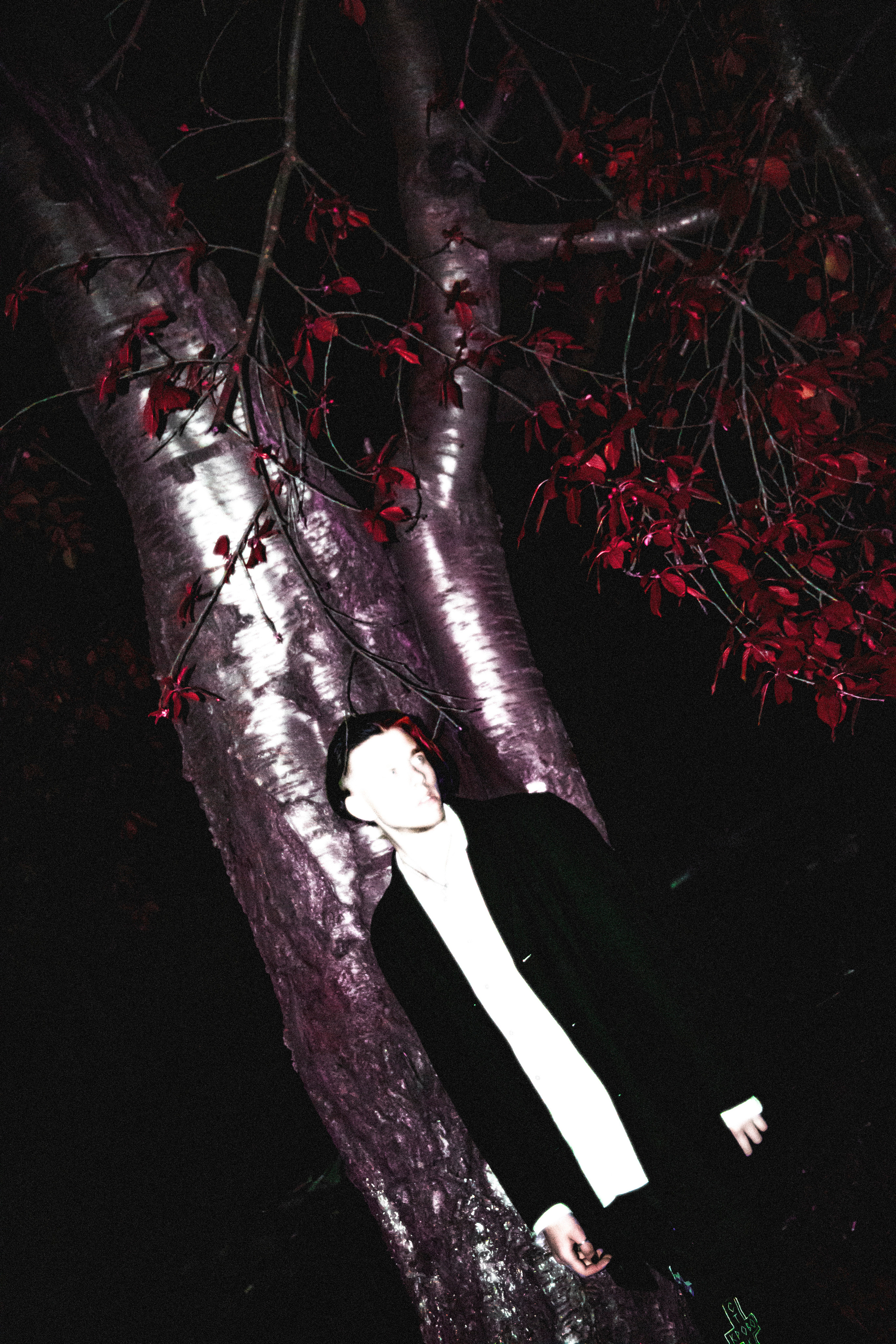 NIGHTS-. +seexteens chase the moon 🌙+