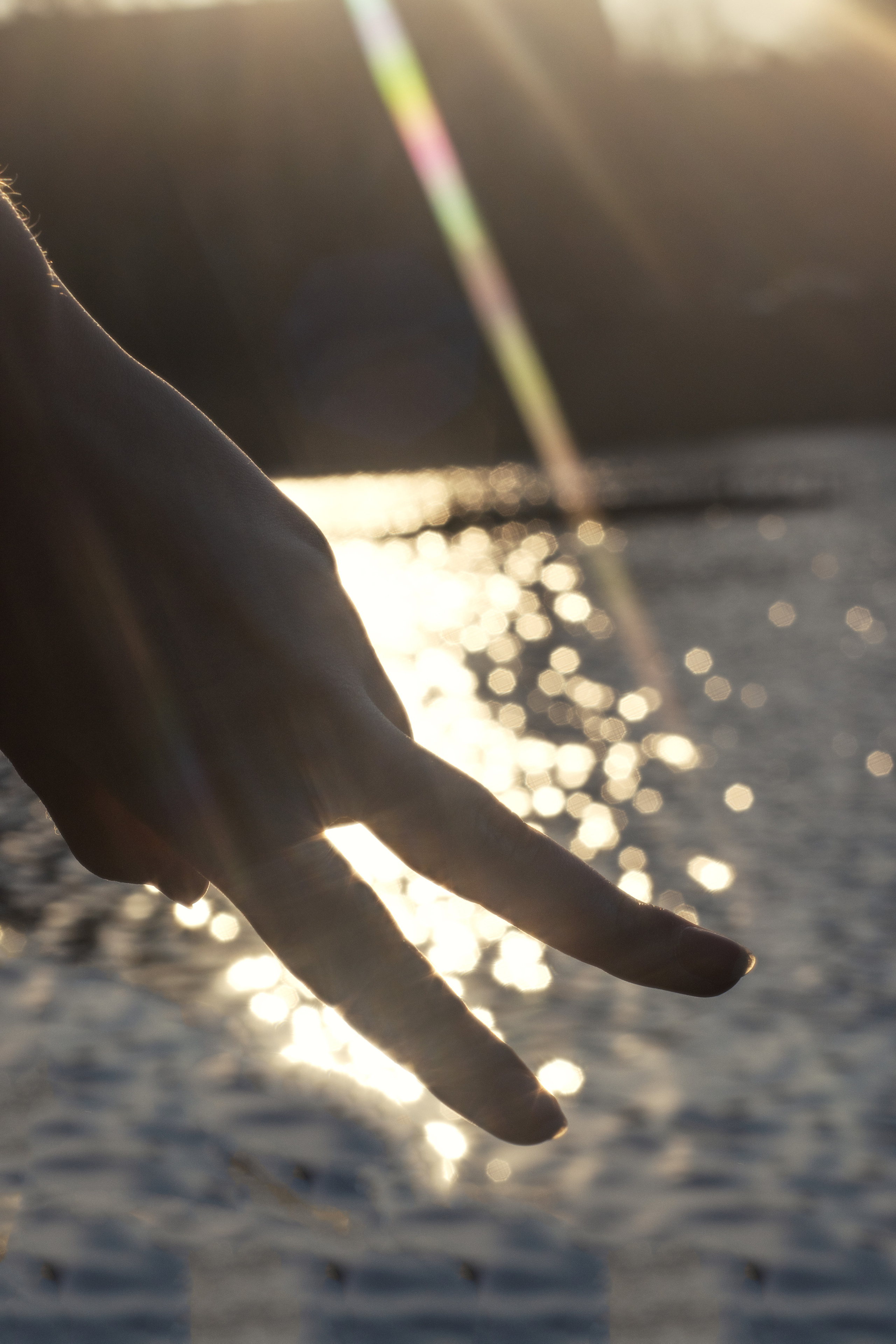 💙💛 Україна понад усе. +seexteens chase the moon 🌙+