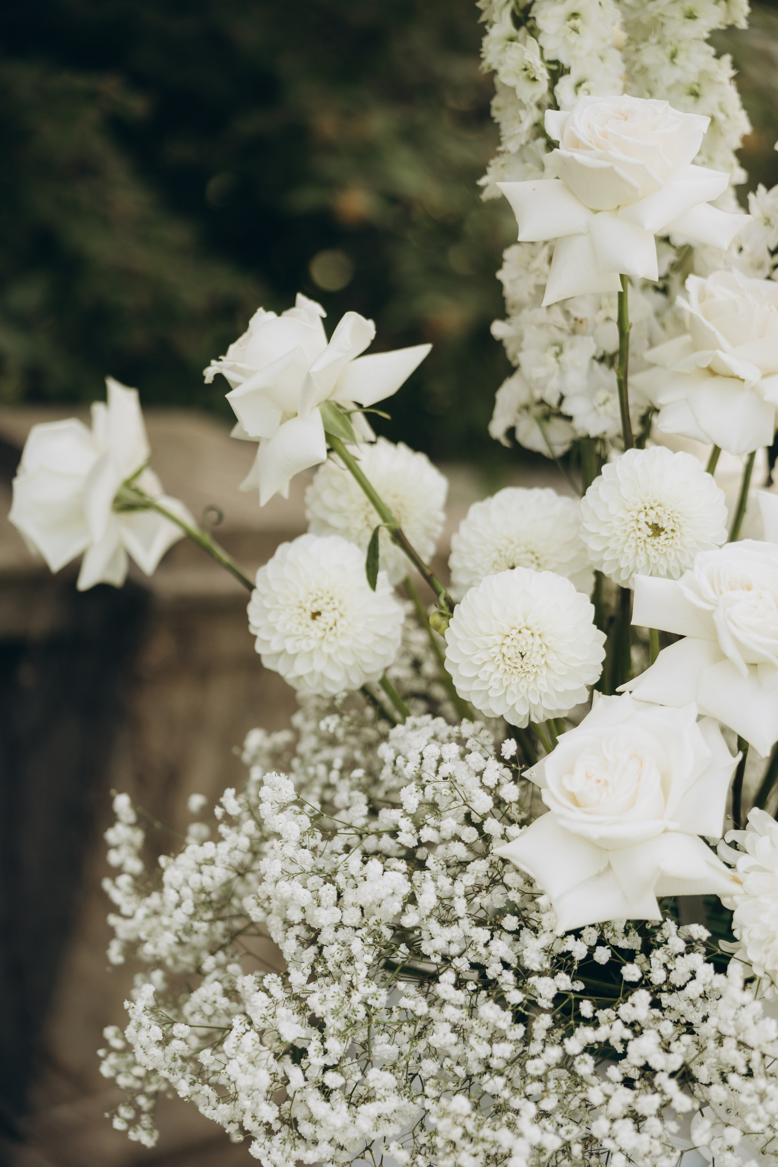 Dasha&Alex. Wedding Photographer Toronto