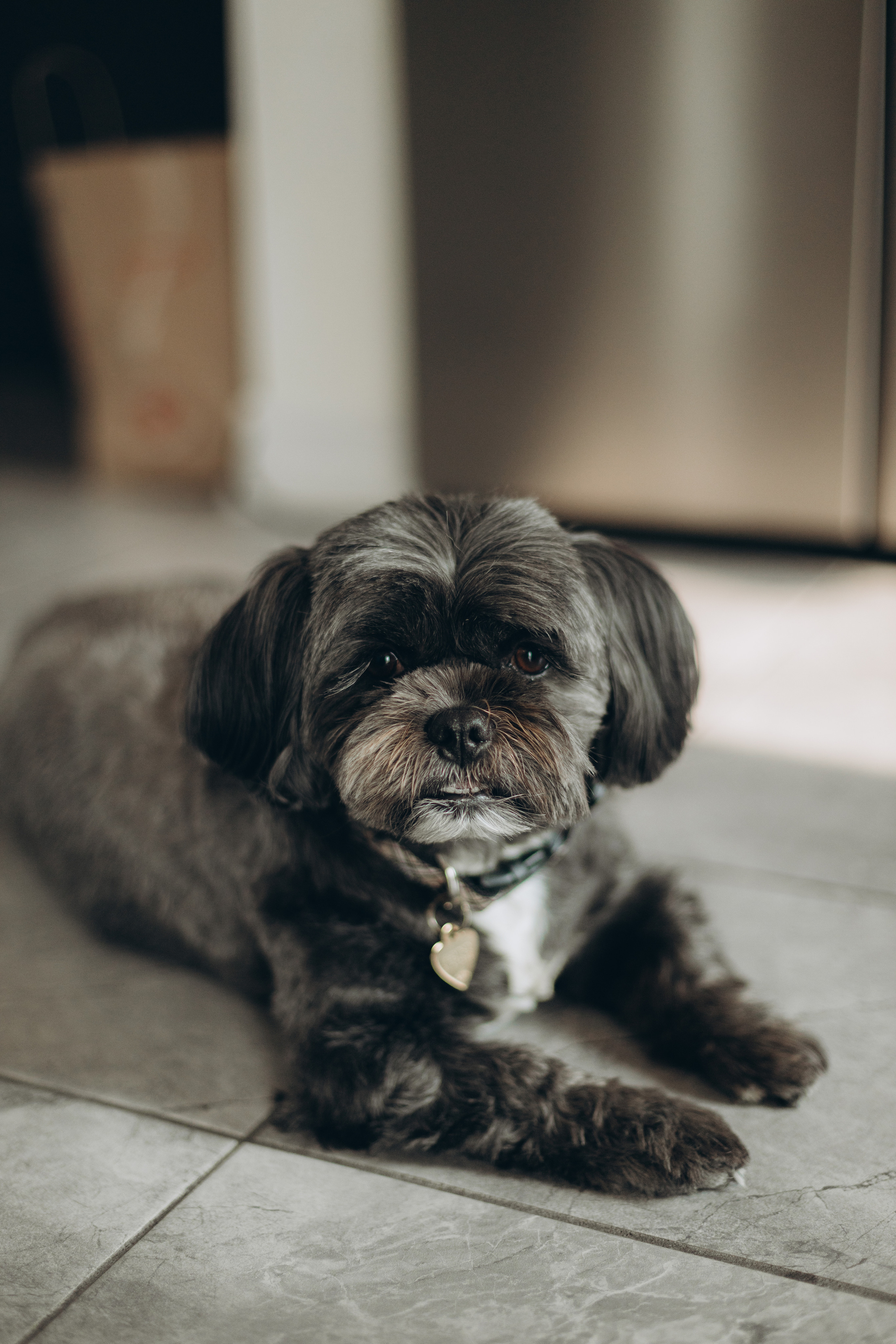 Sanjam&Sahil. Wedding Photographer Toronto