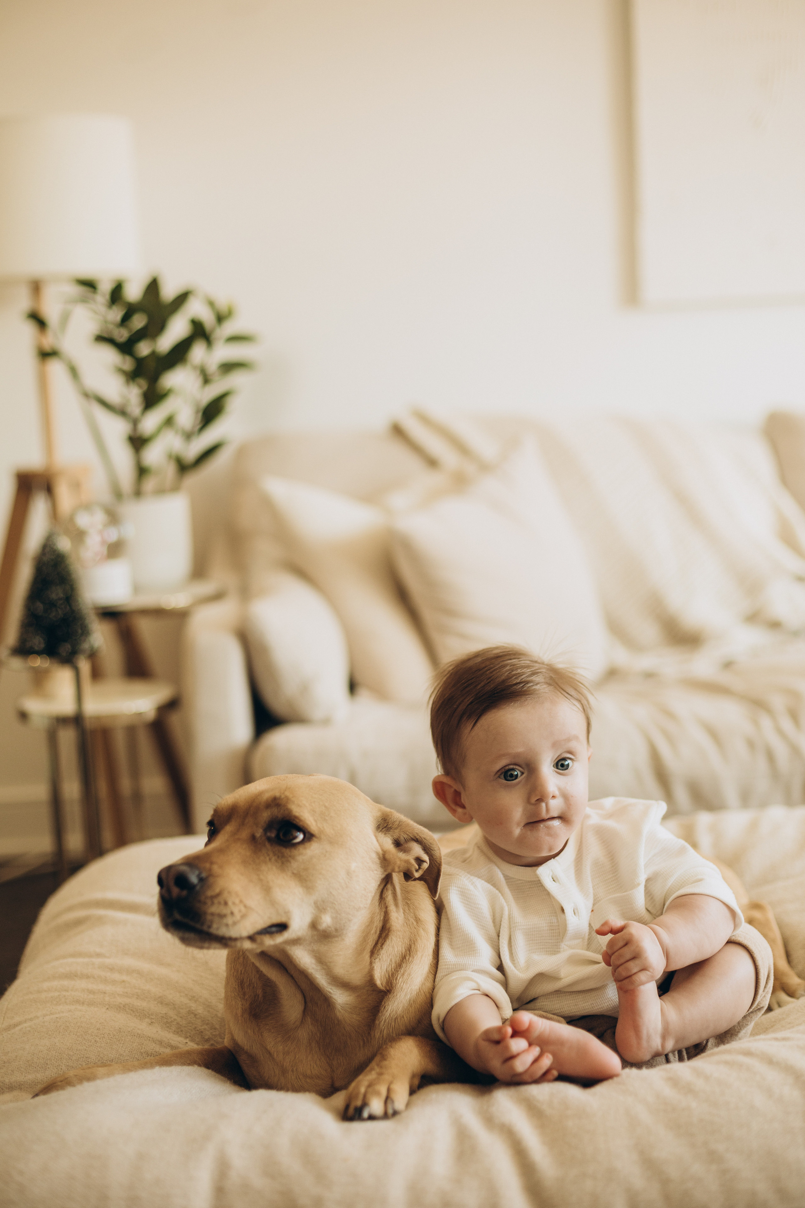 First Christmas. Wedding Photographer Toronto