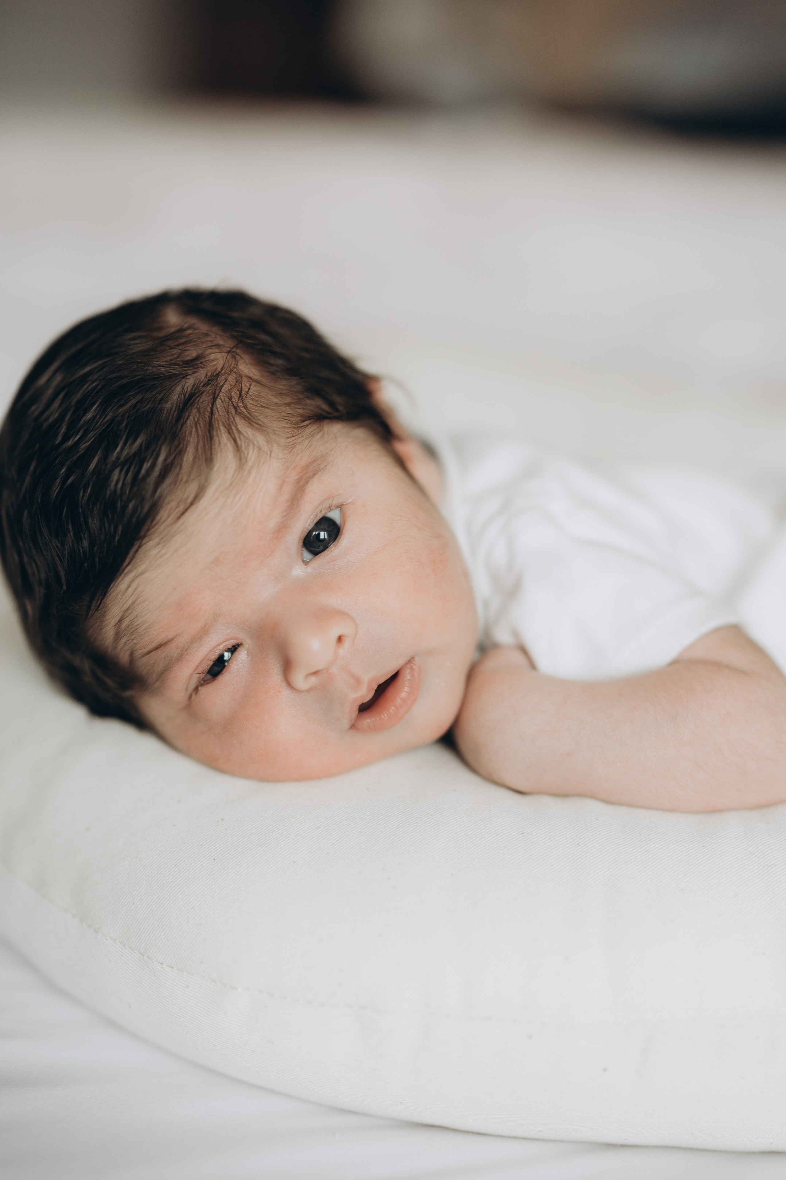 Baby Luca. Wedding Photographer Toronto