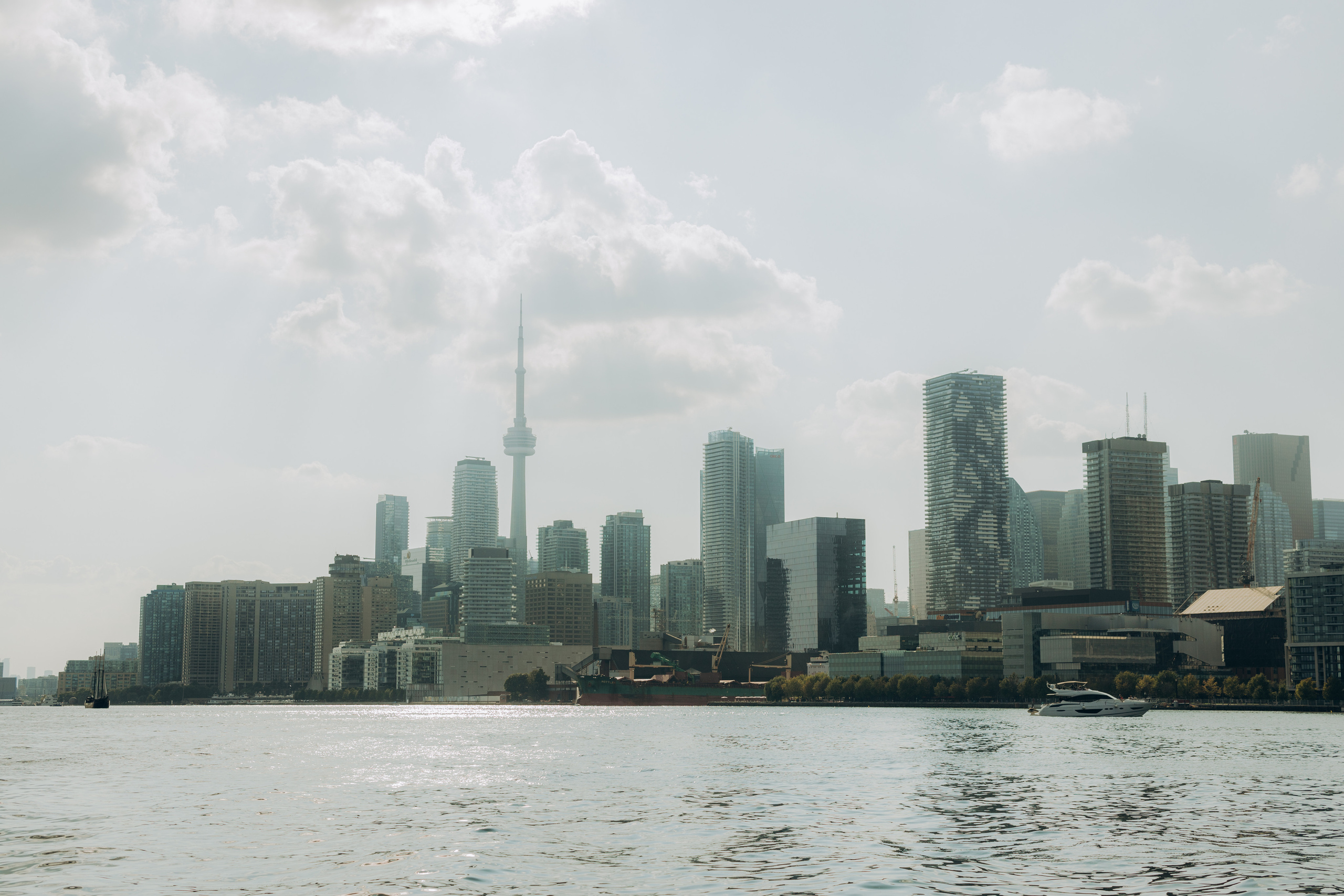 Family session in Toronto. Wedding Photographer Toronto