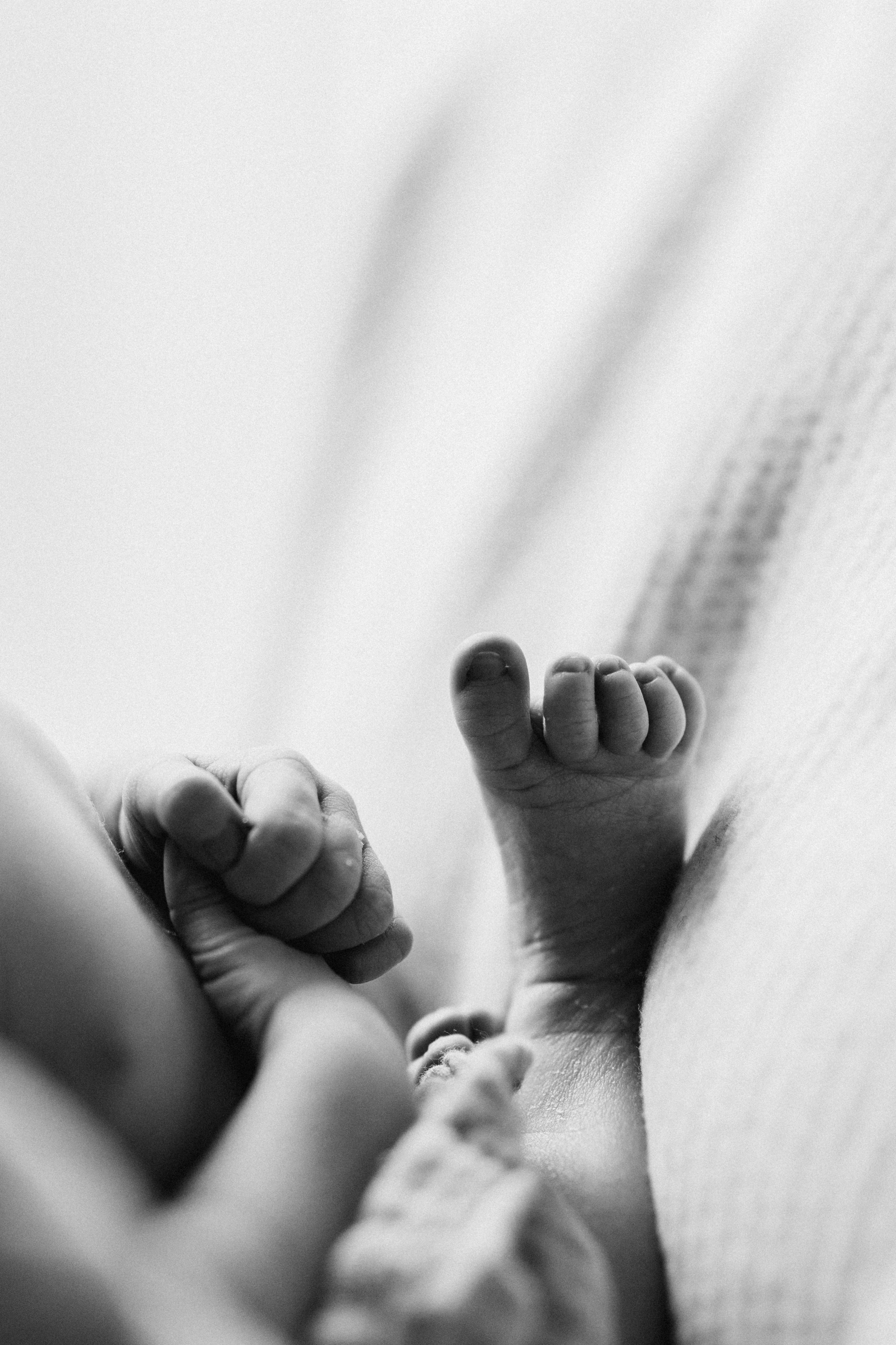 7 days old. Wedding Photographer Toronto