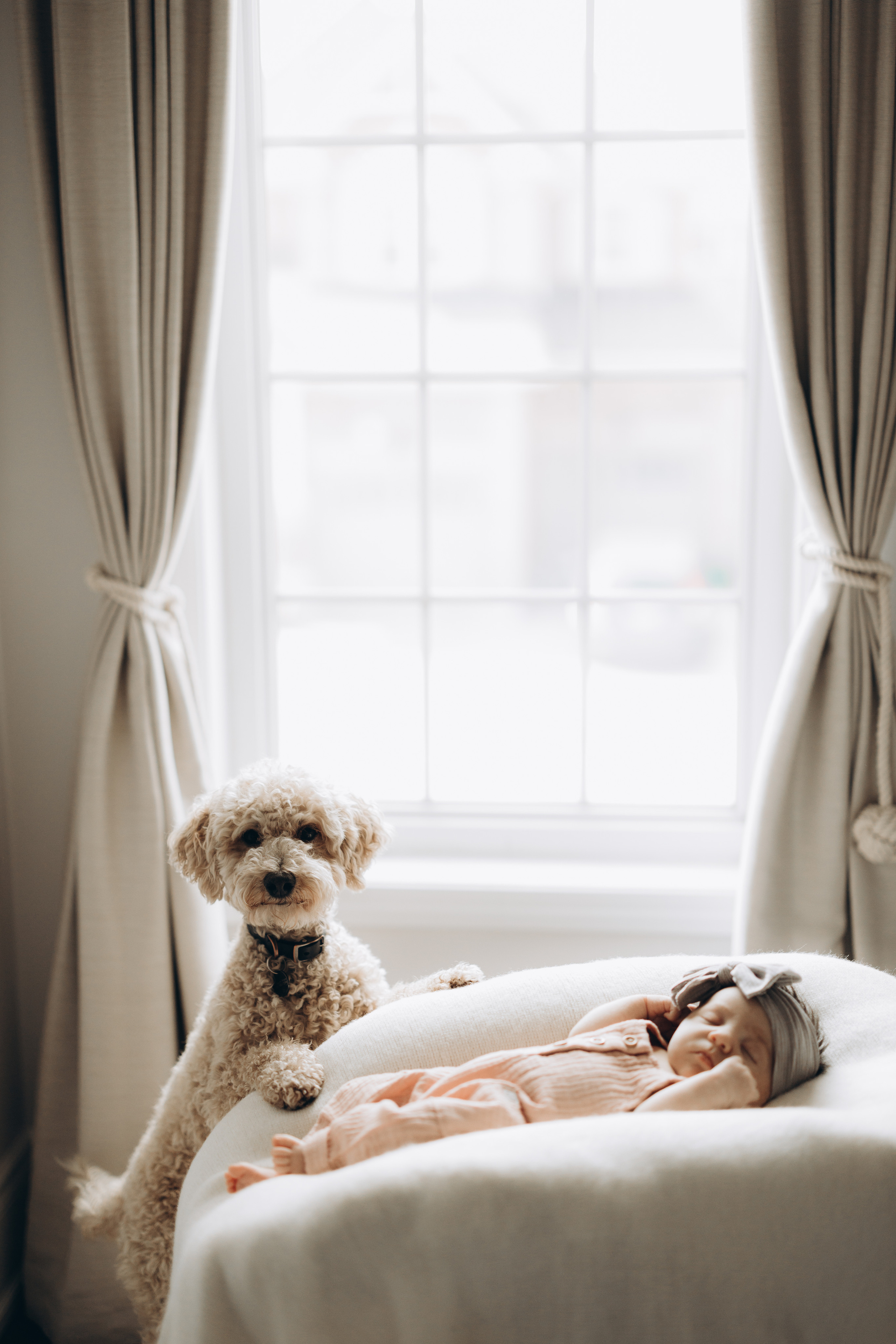 Avery. Wedding Photographer Toronto